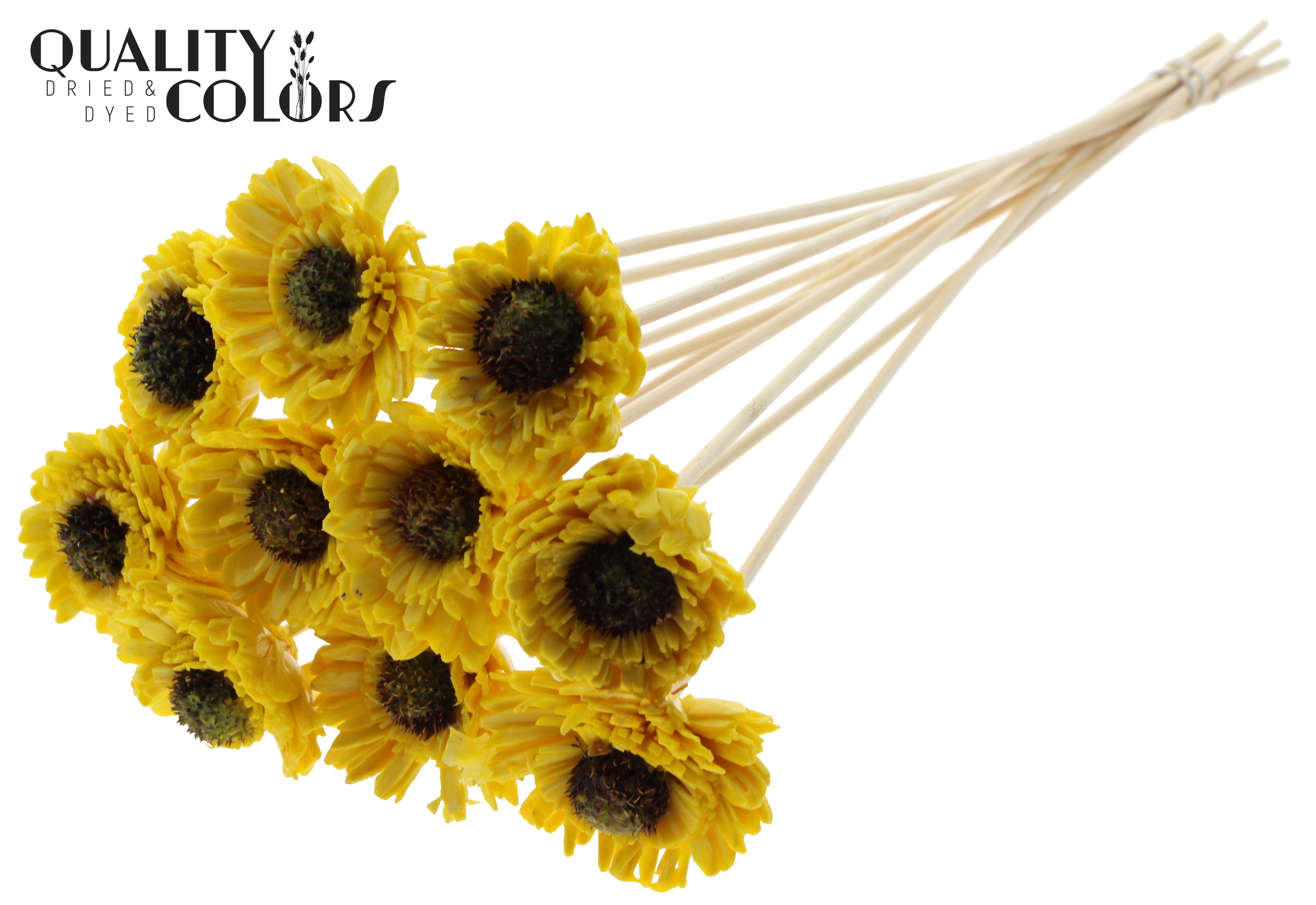 Shola Daisy Sunflower Wax Yellow 50cm