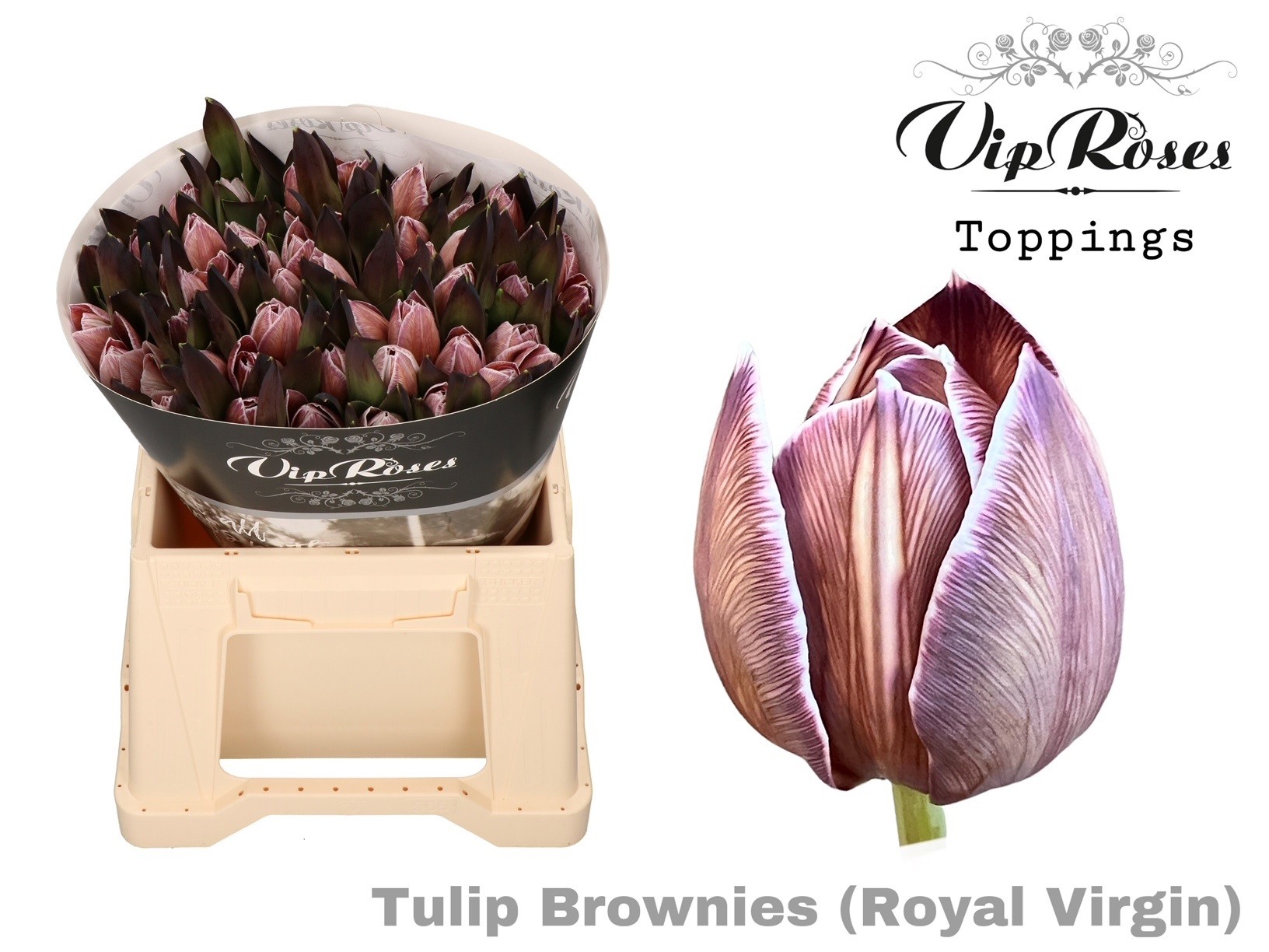 Tu En Rv Brownies 38 cm