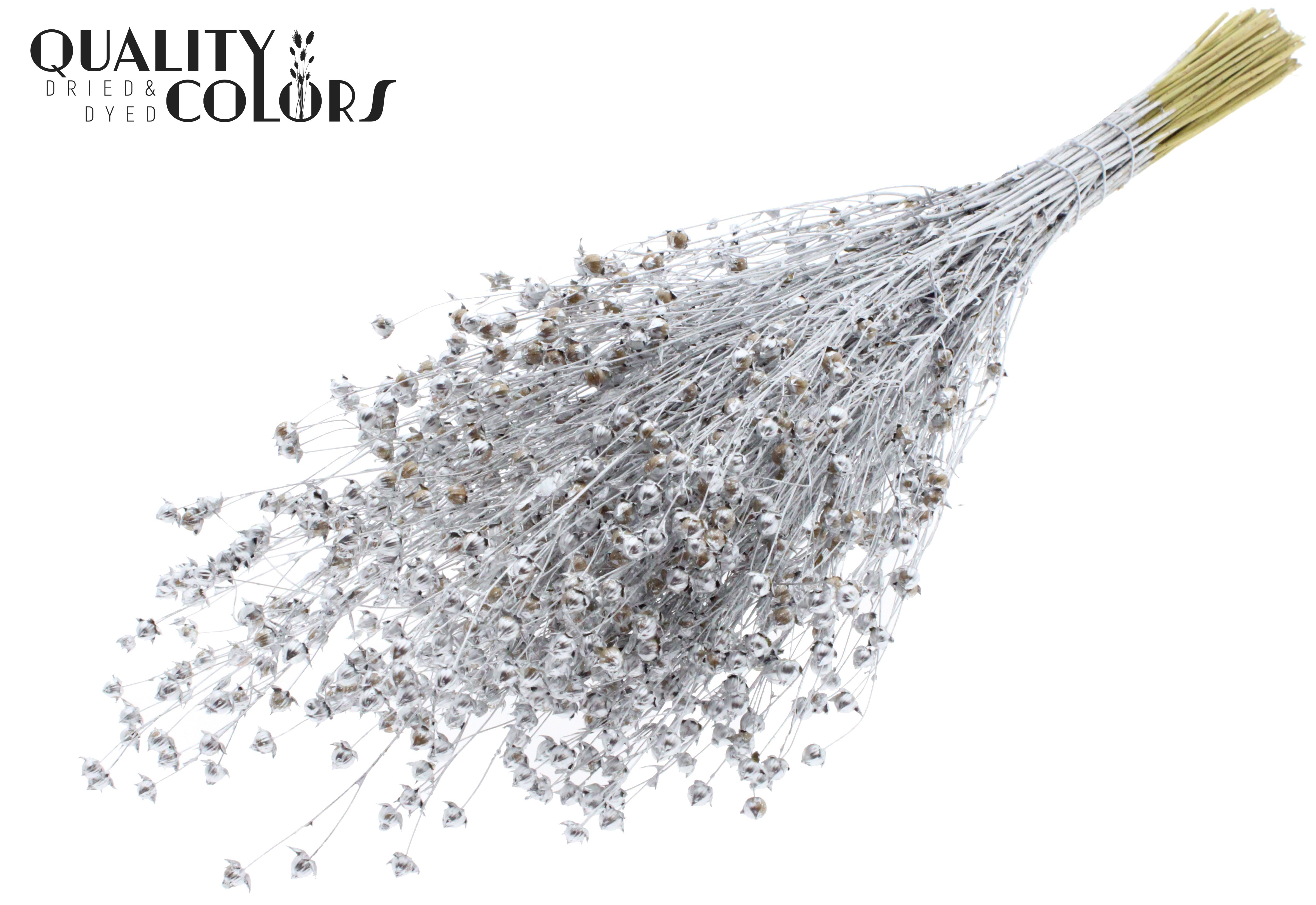 Lino Flax Silver Per Bunch 50cm