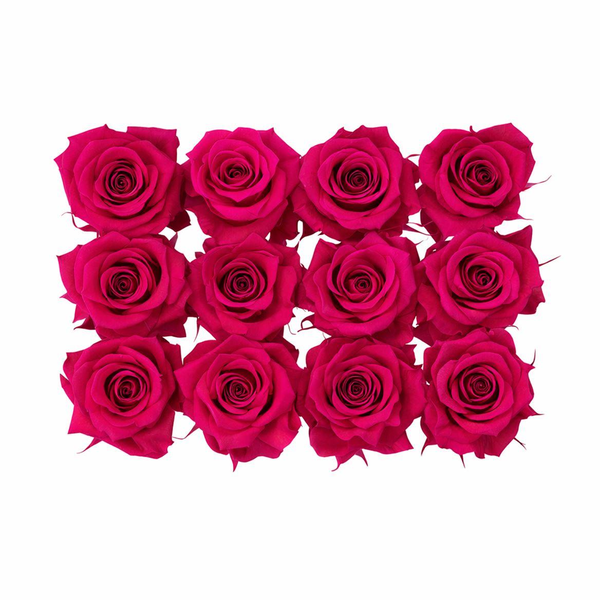 Ro Pres Mini Fuchsia