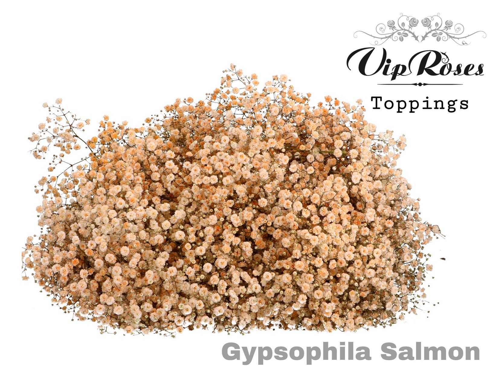 Gyps Pa Salmon 80 cm