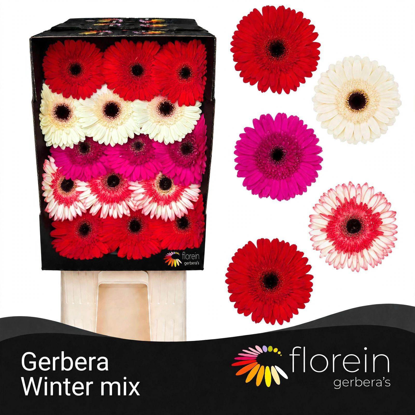 Ge Gr Mix Diamond Wintermix 45