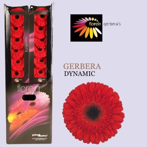 Ge Gr Dynamic Aquabox 80