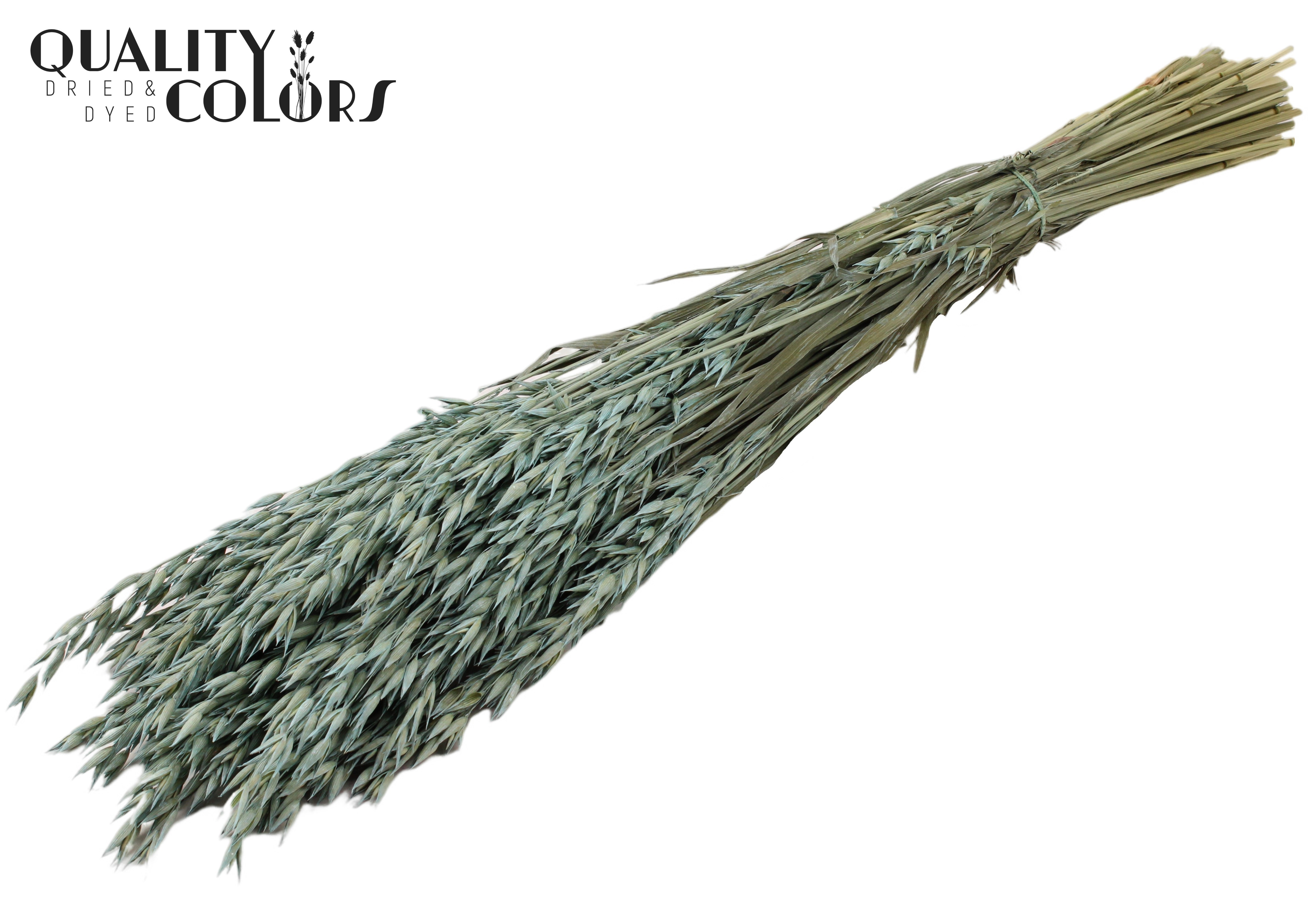 Avena Frosted Light Blue Per Bunch 60cm