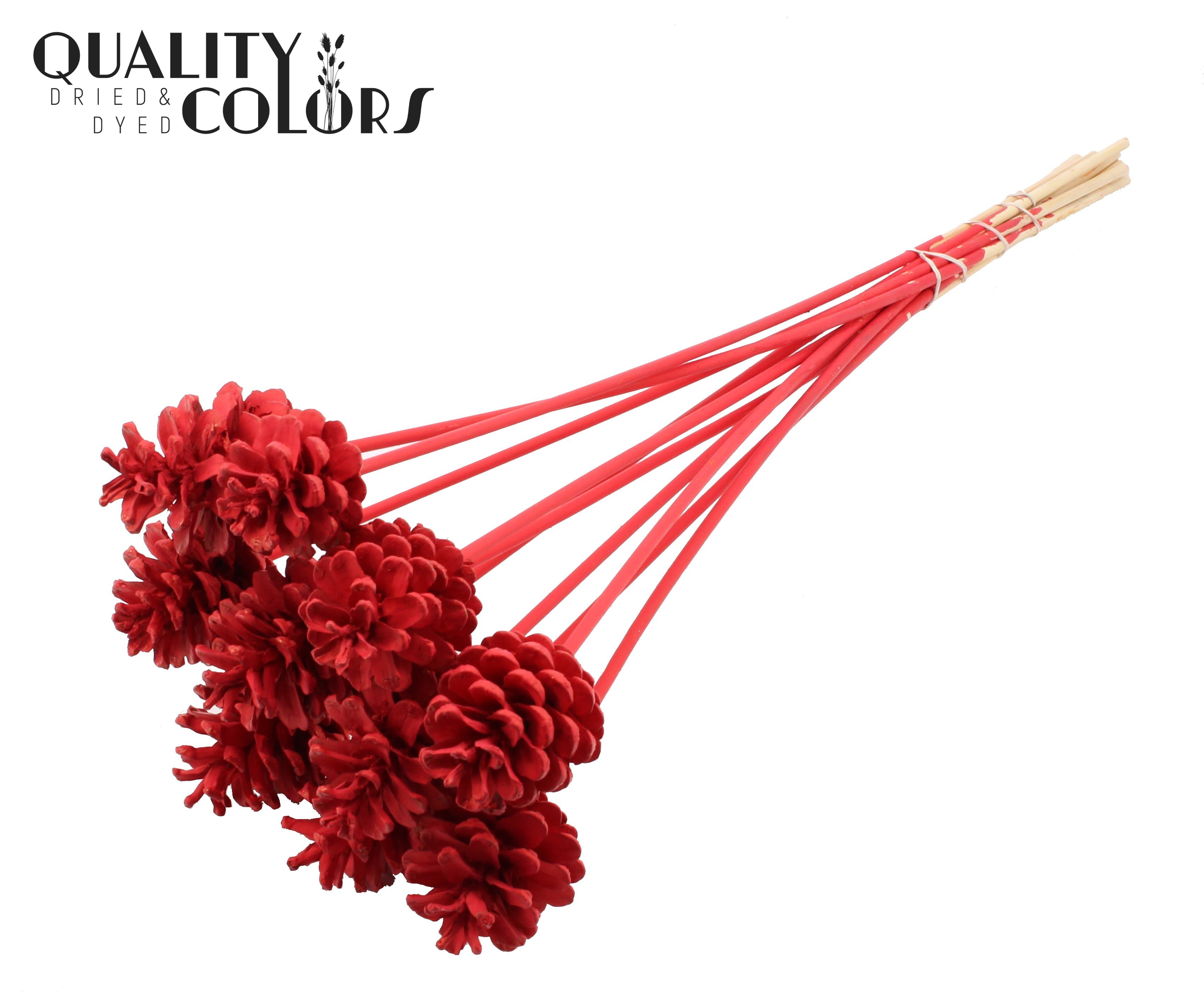 Pine Cone Red 50cm
