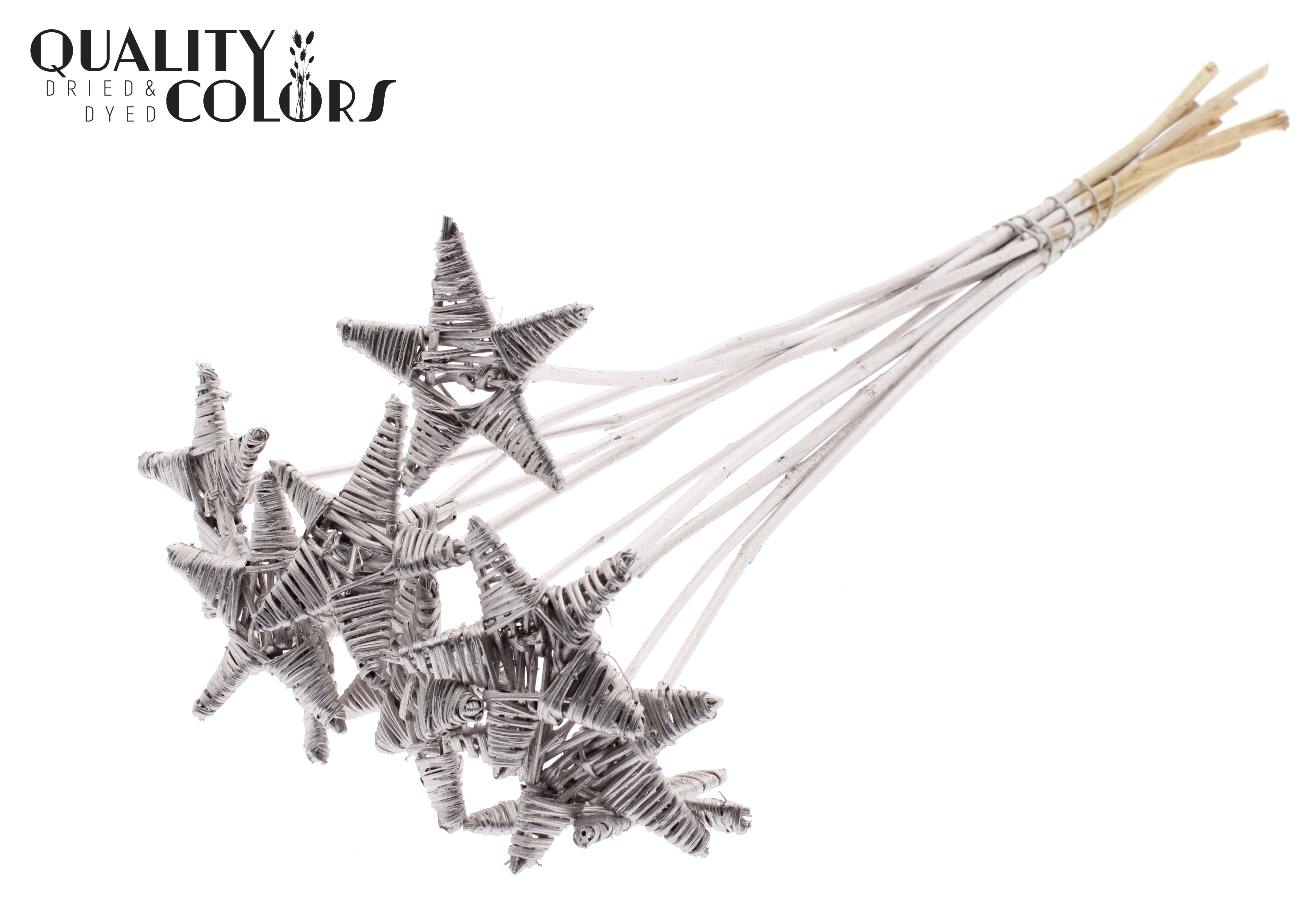 Lata Star Champagne 50cm
