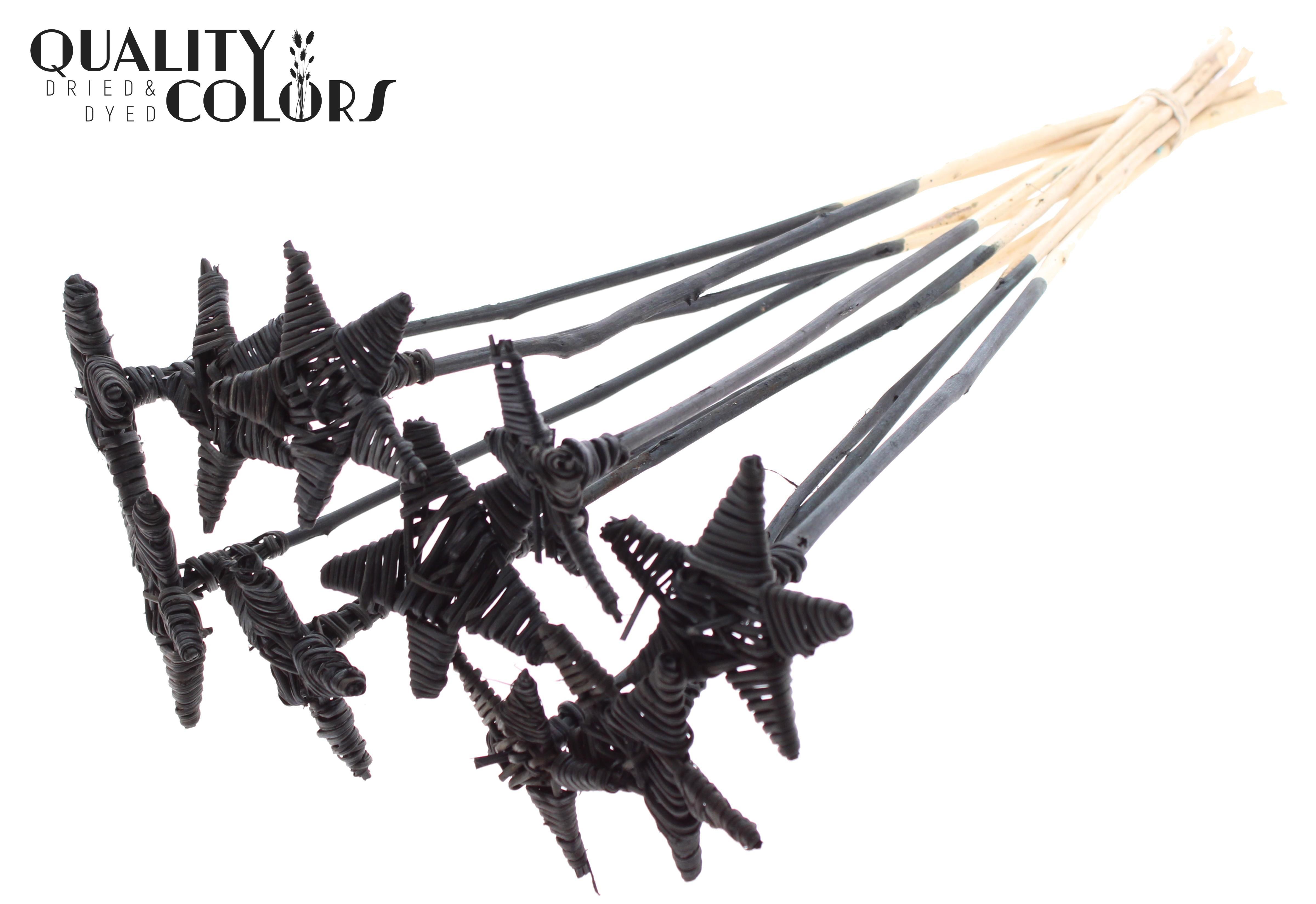 Lata Star Black 50cm