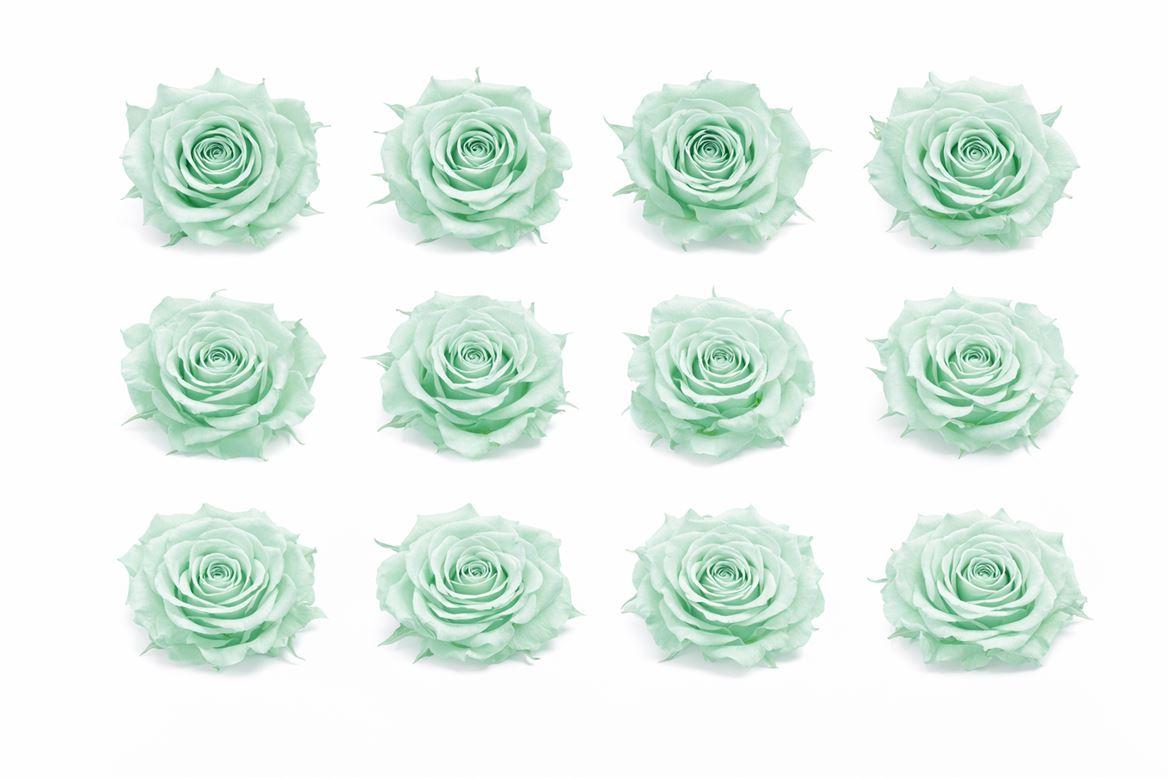 Ro Pres Mini Green Mint