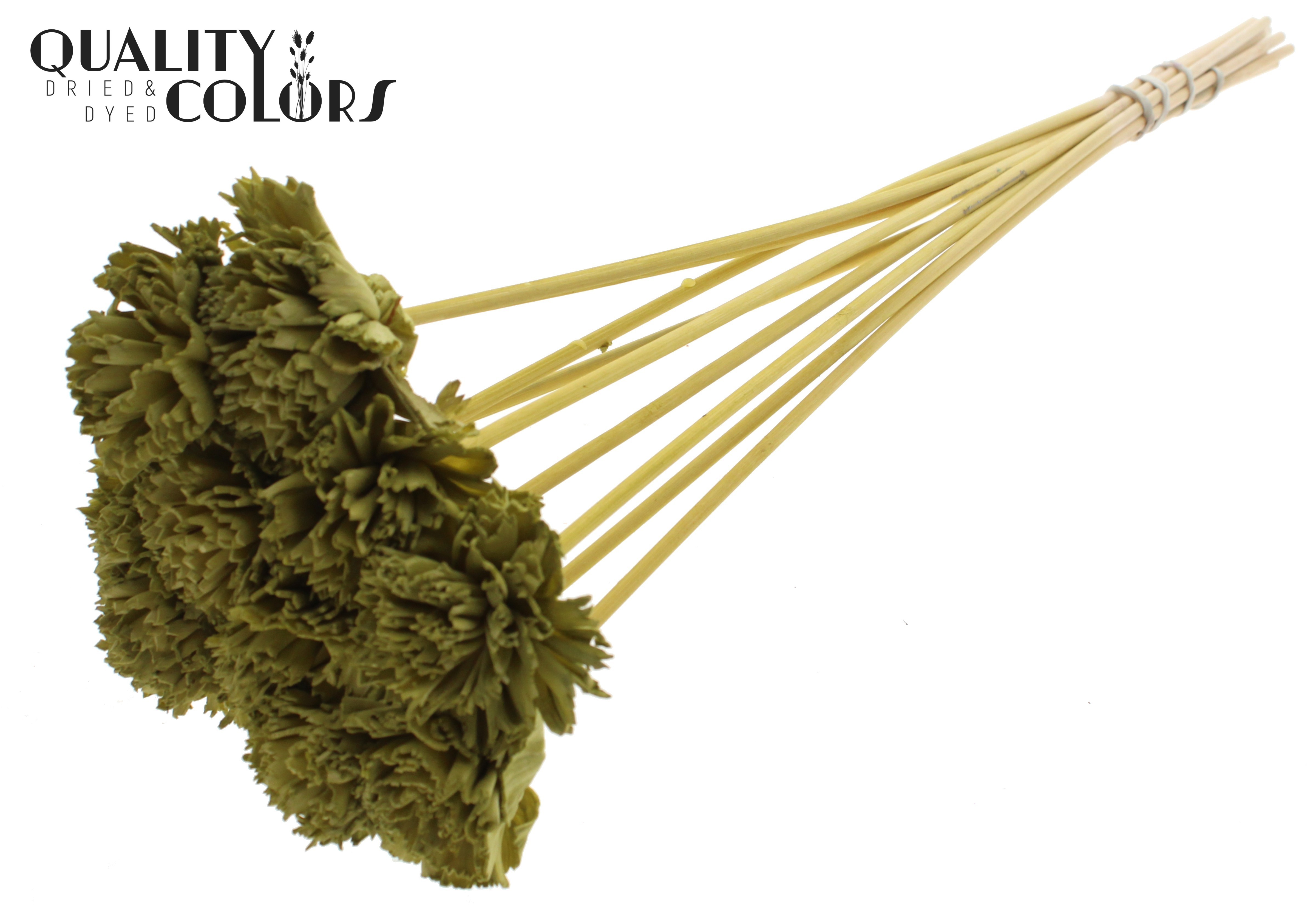 Shola Karnish Flower Olive 50cm