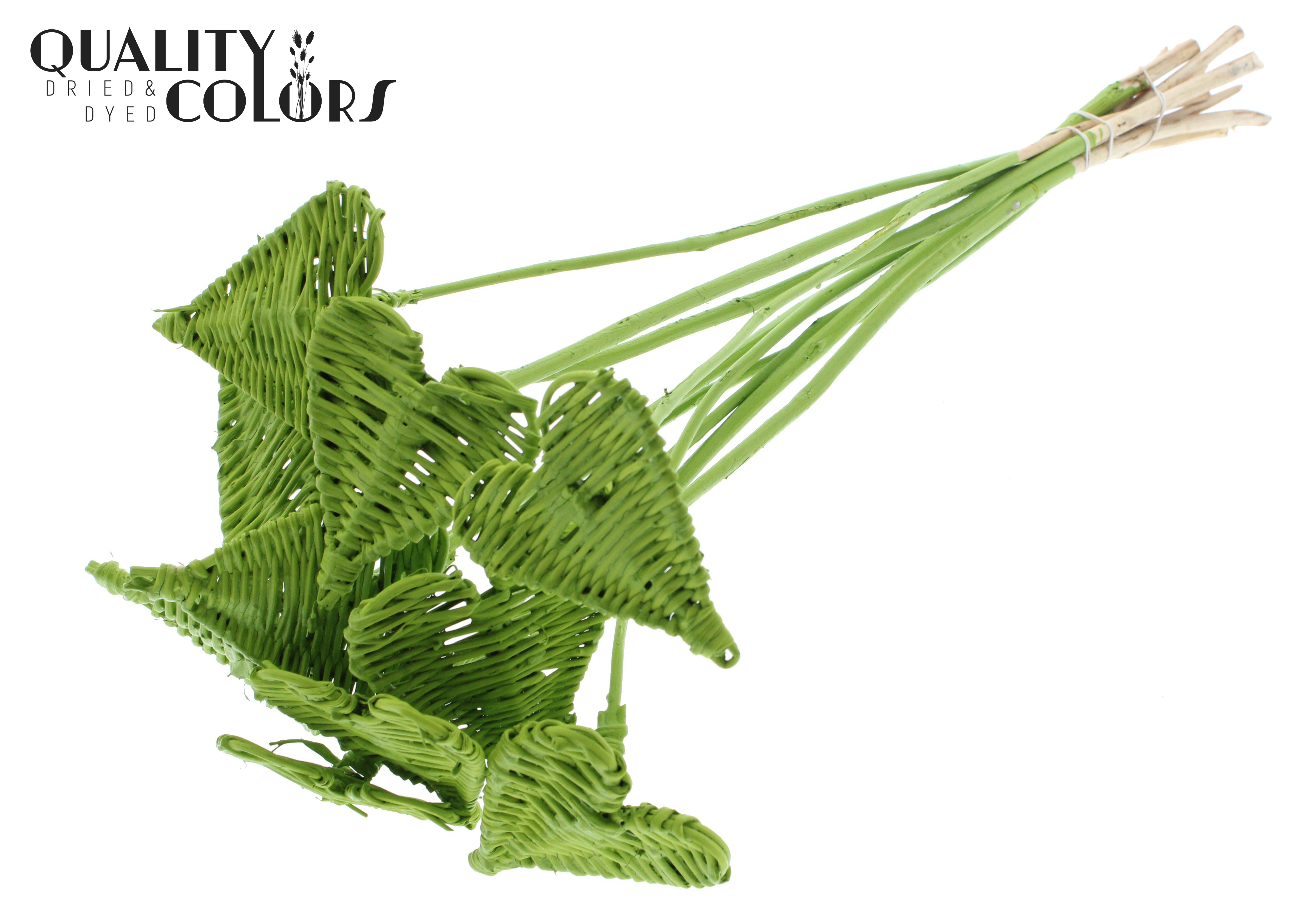 Lata Heart Light Green 50cm