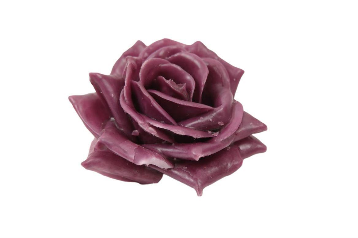 Wax Rose D10 Aubergine