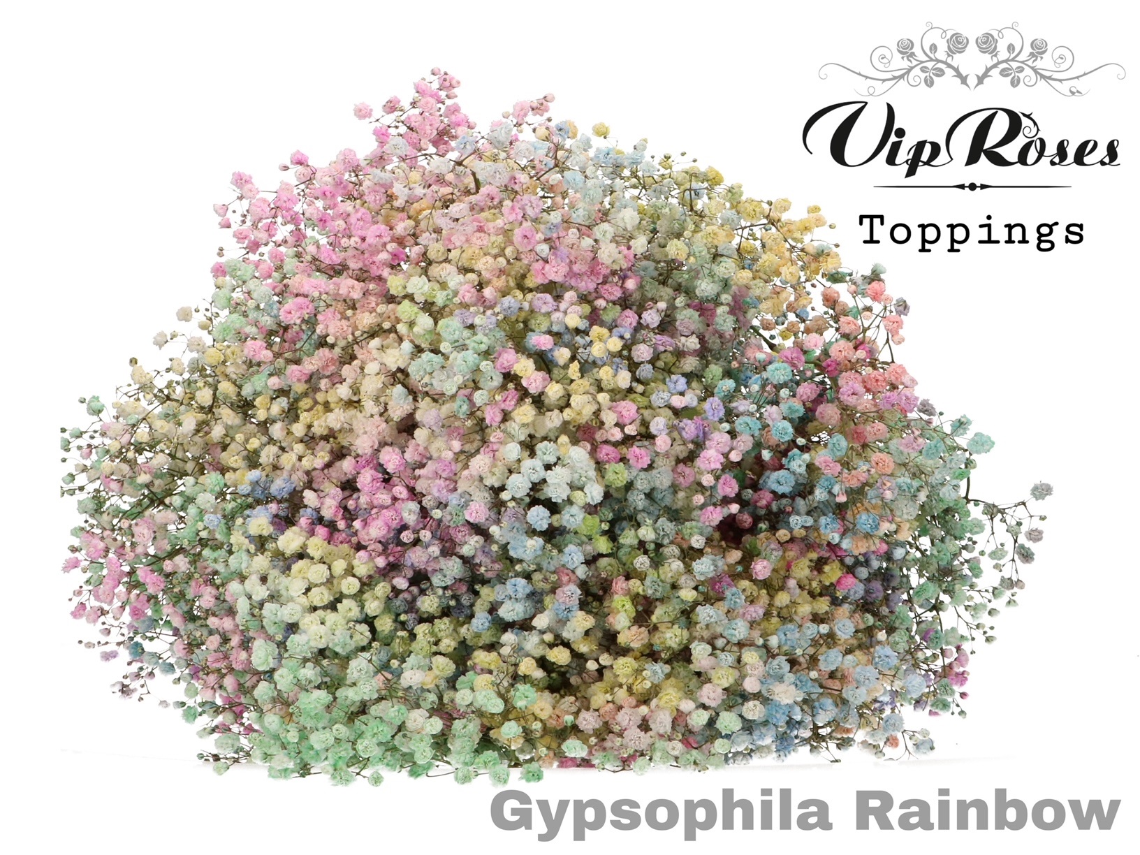 Gyps Pa Rainbow Pastel 80 cm