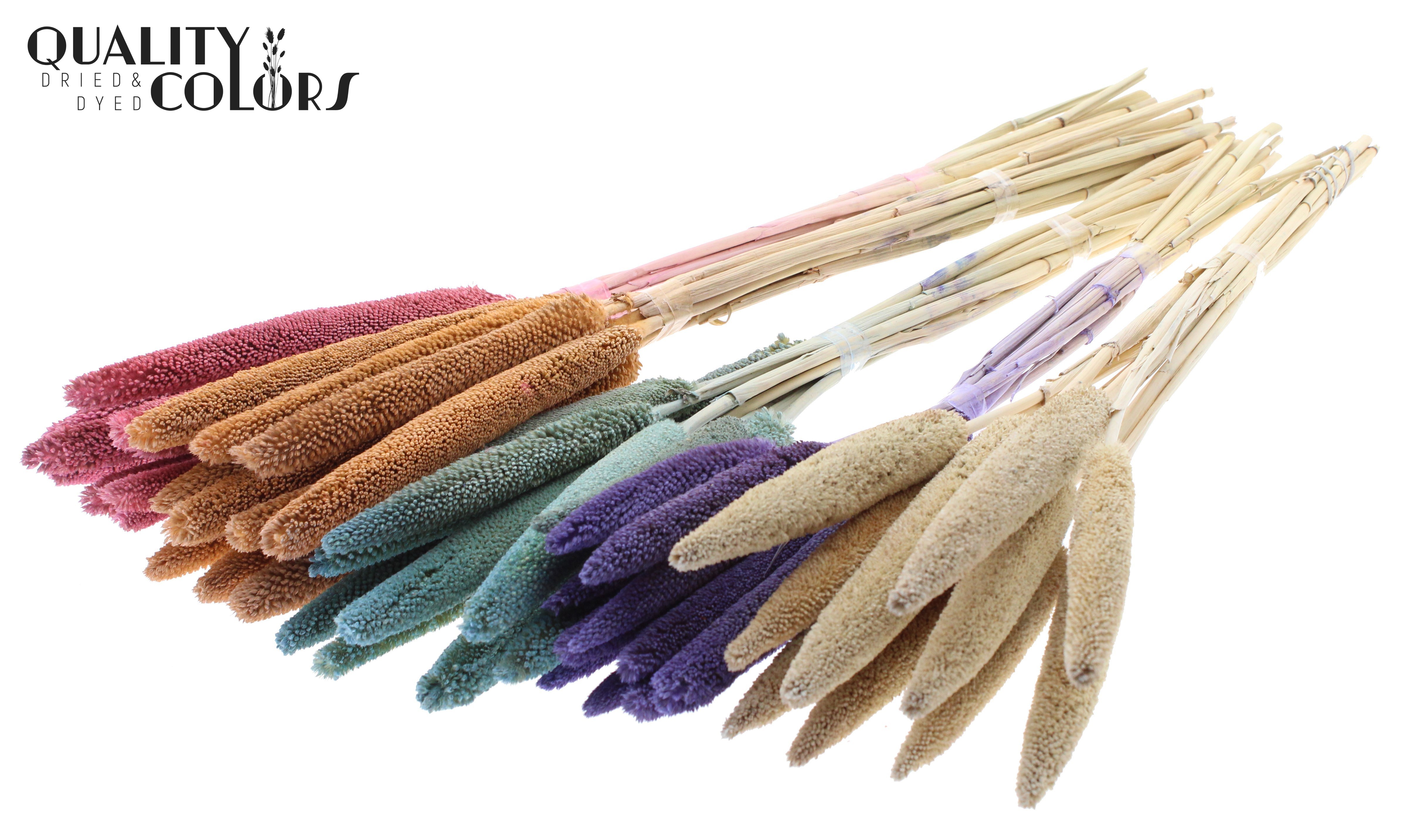 Babala Frosted Mix 65cm