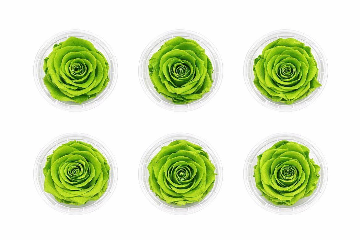 Ro Pres Classic Green Lime