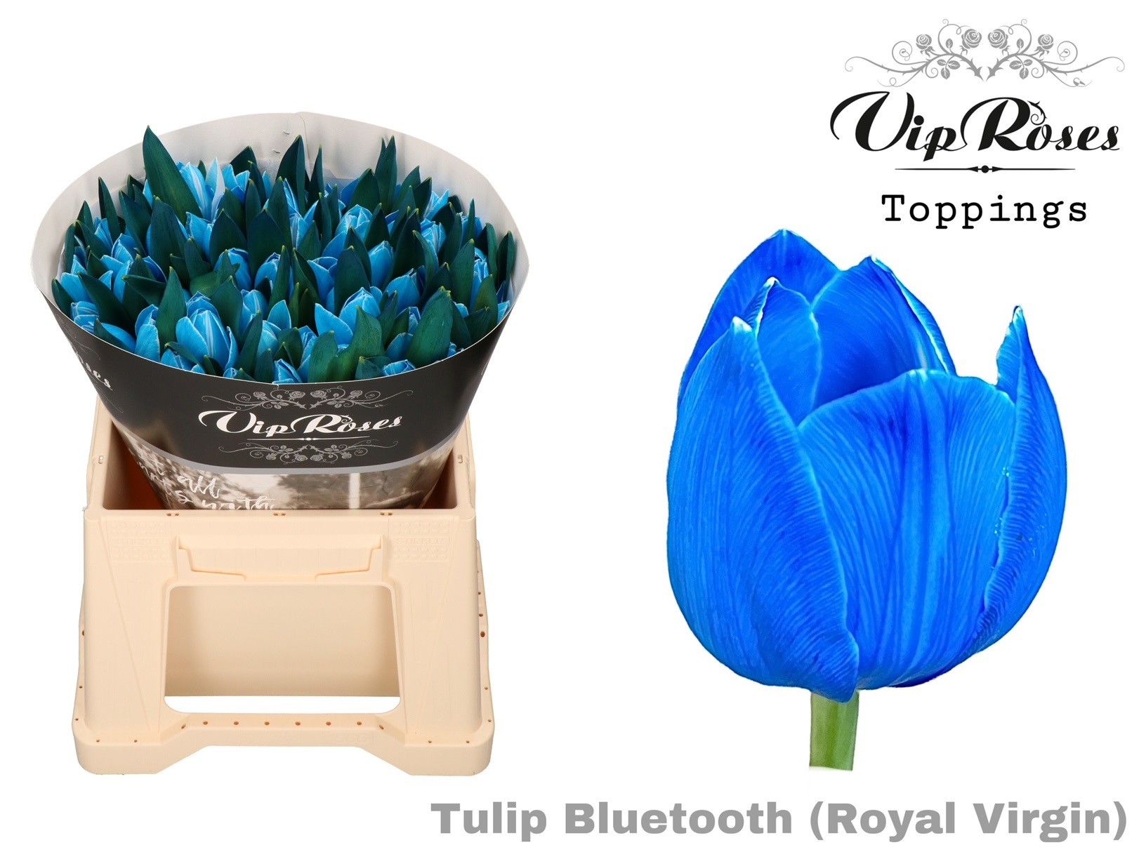 Tu En Rv Bluetooth 38 cm