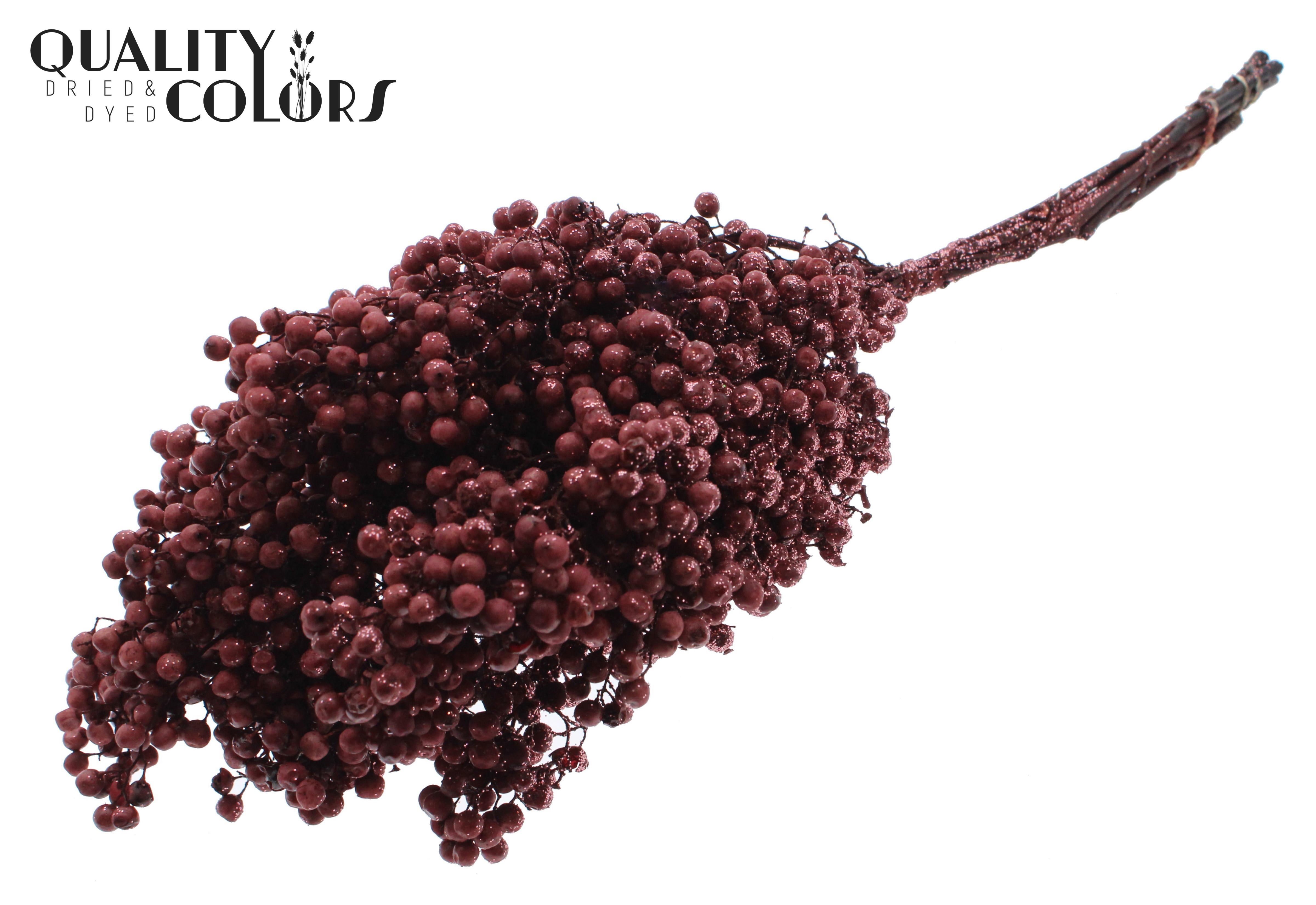 Schinus Mollis Burgundy + Glitter Per Bunch