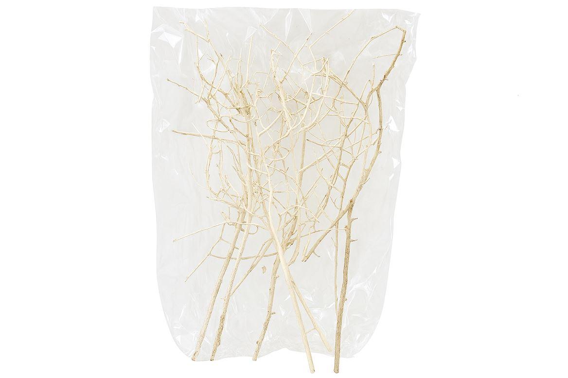 Bush White 6pc Bag