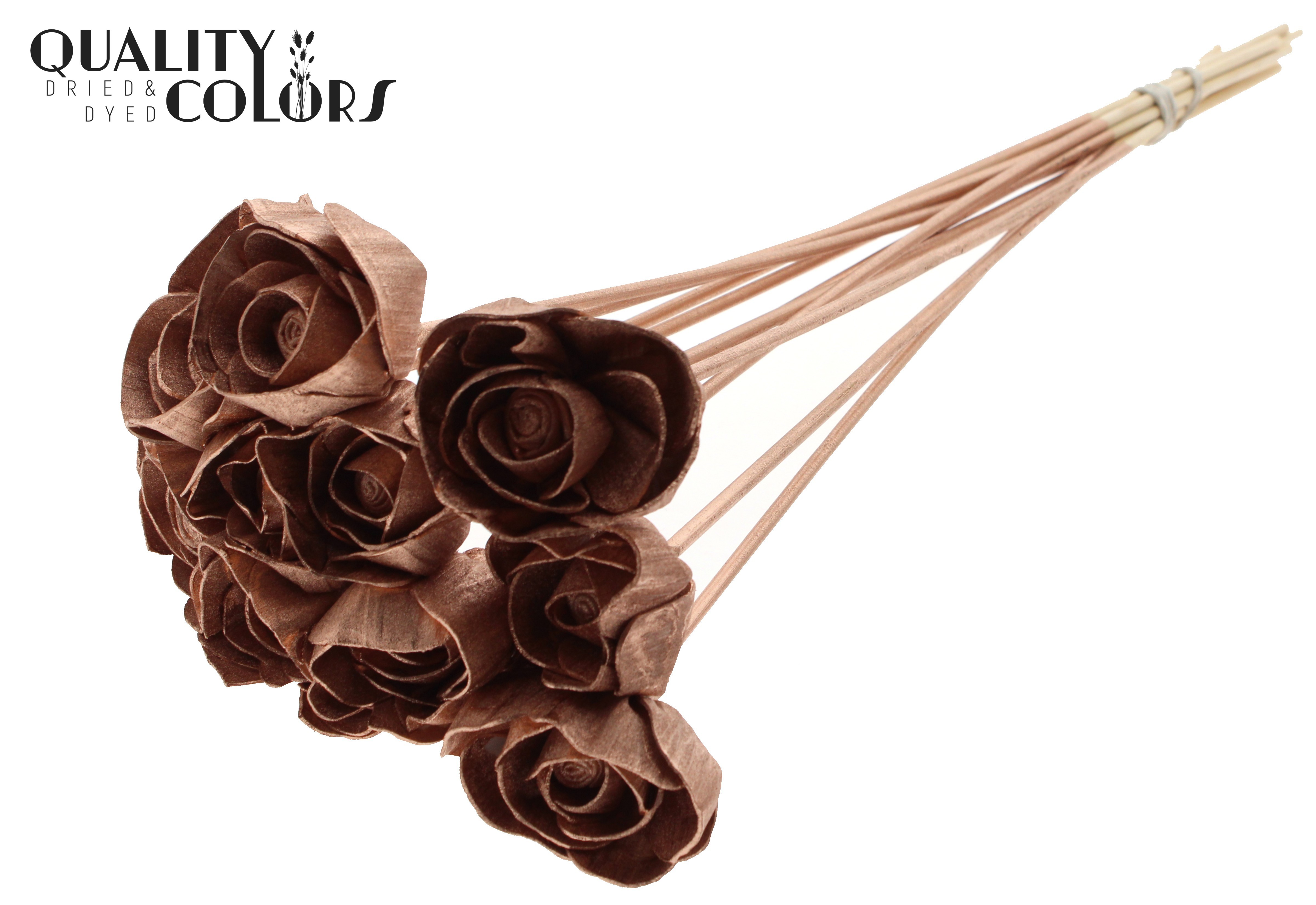 Shola Dear Holly Copper 50cm
