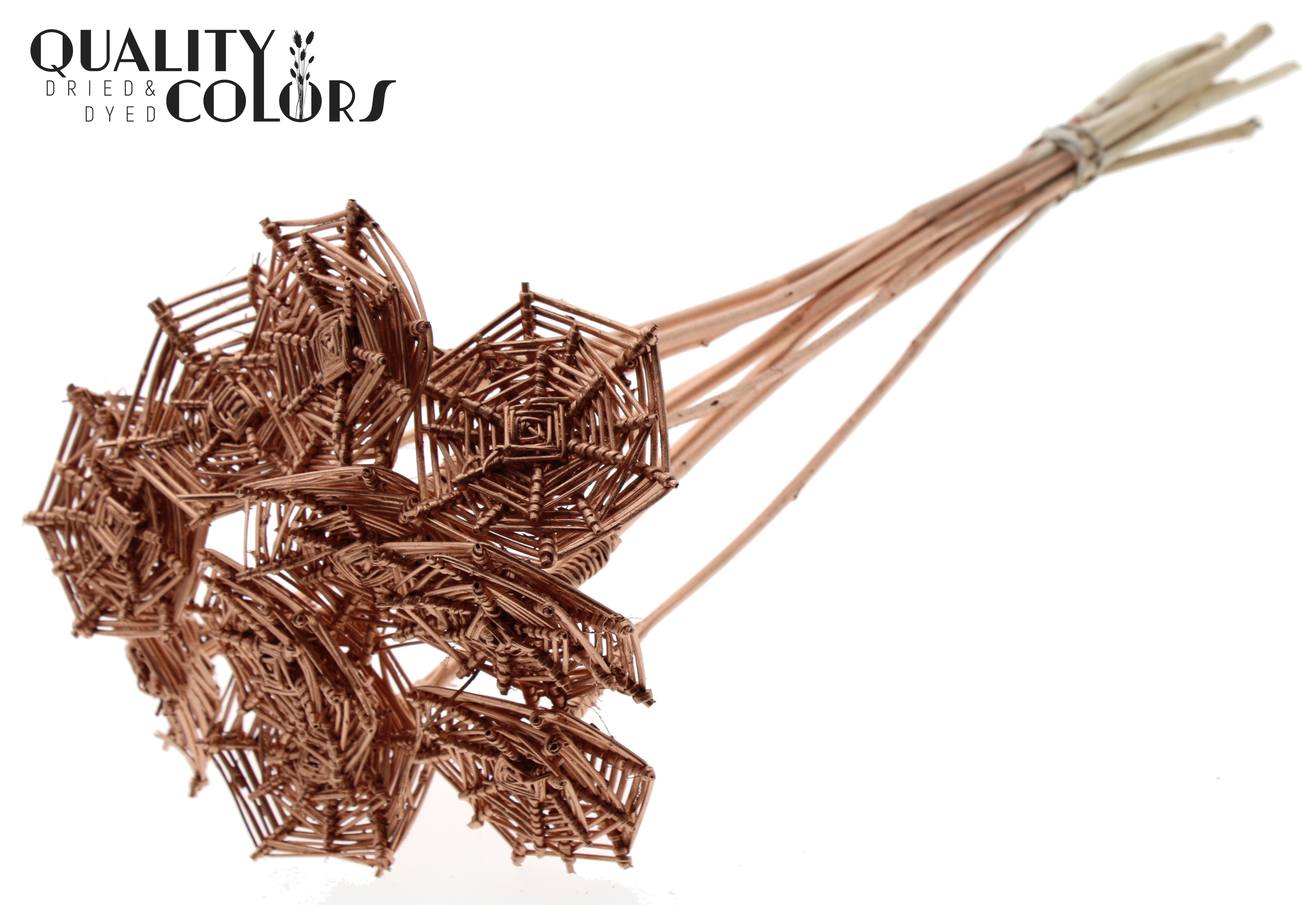 Lata Spiderweb Copper 50cm