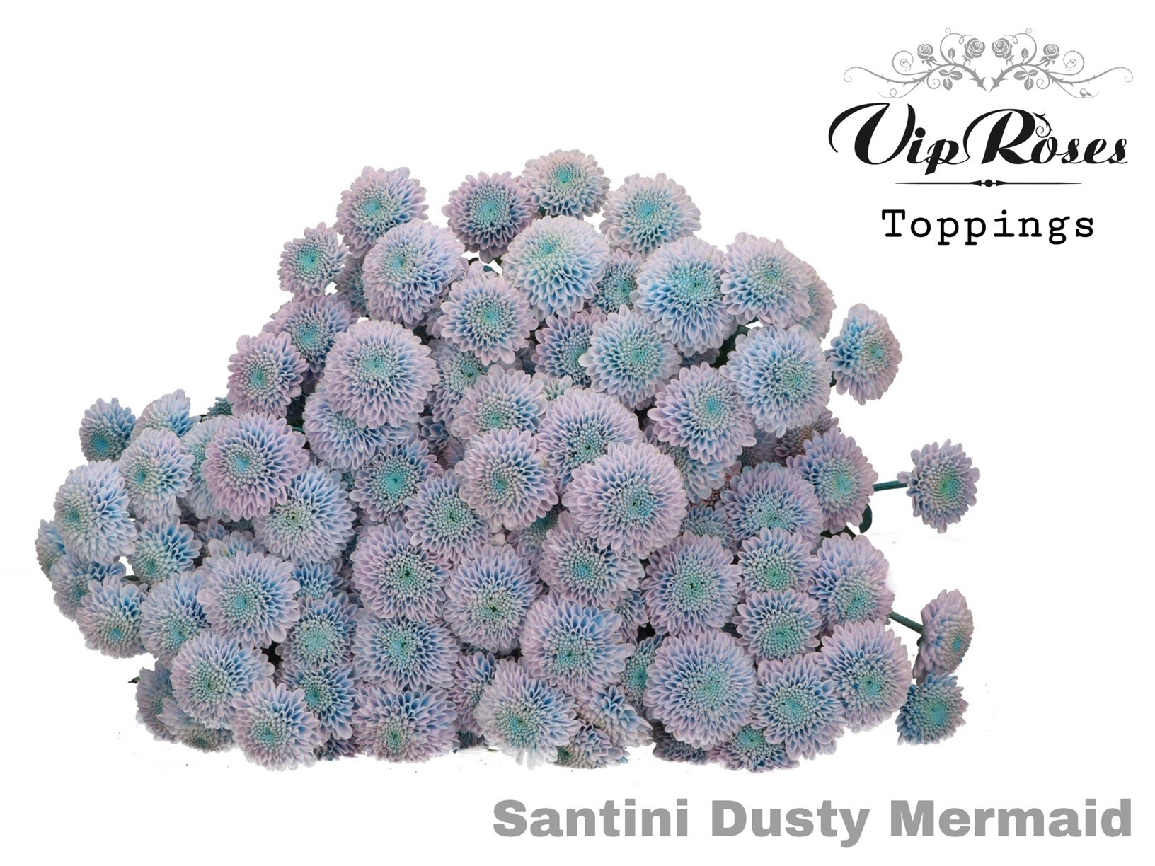 Chr S Dusty Mermaid 55 cm