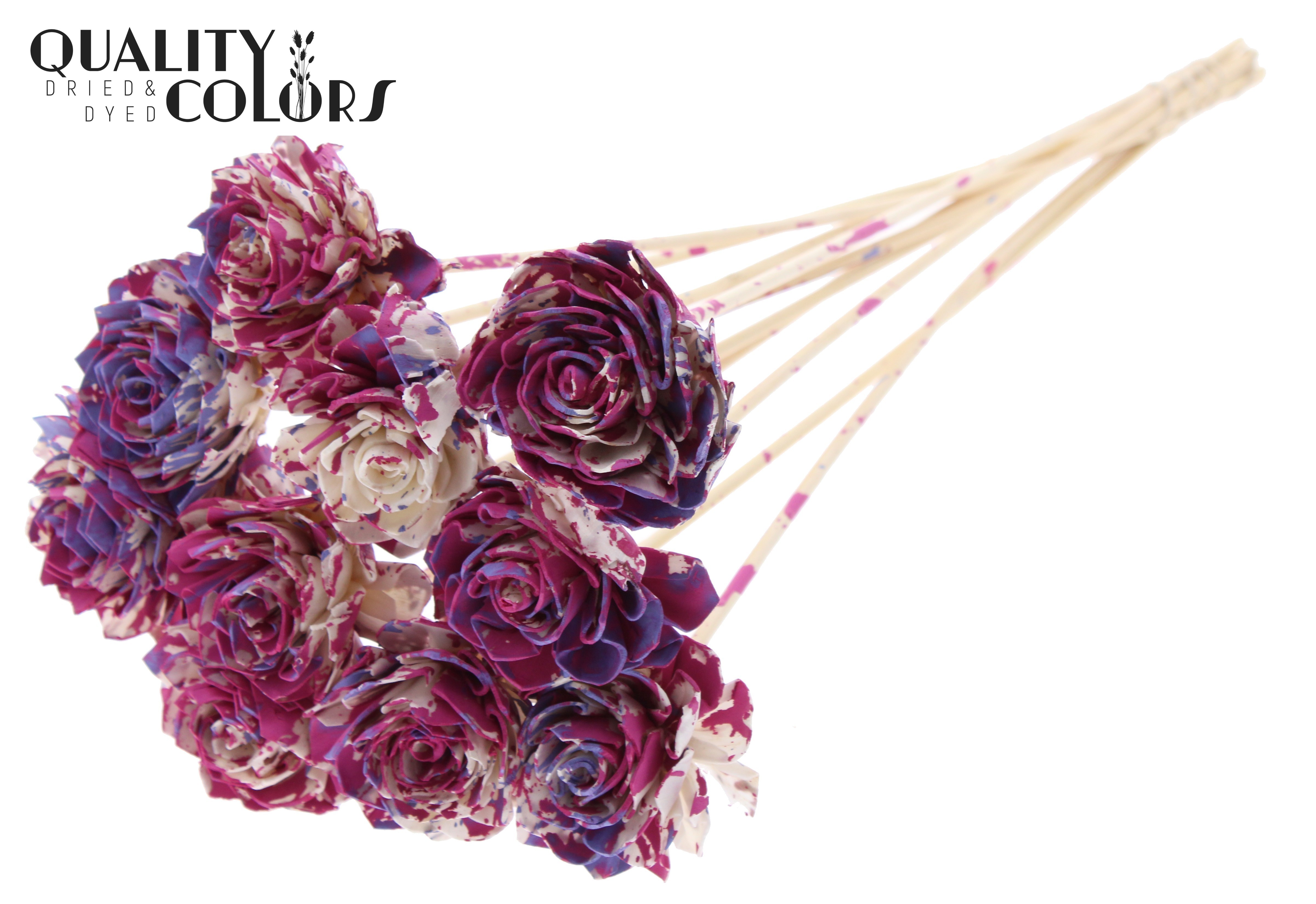 Shola Dhaliya Multicolour Cerise Milka 50cm
