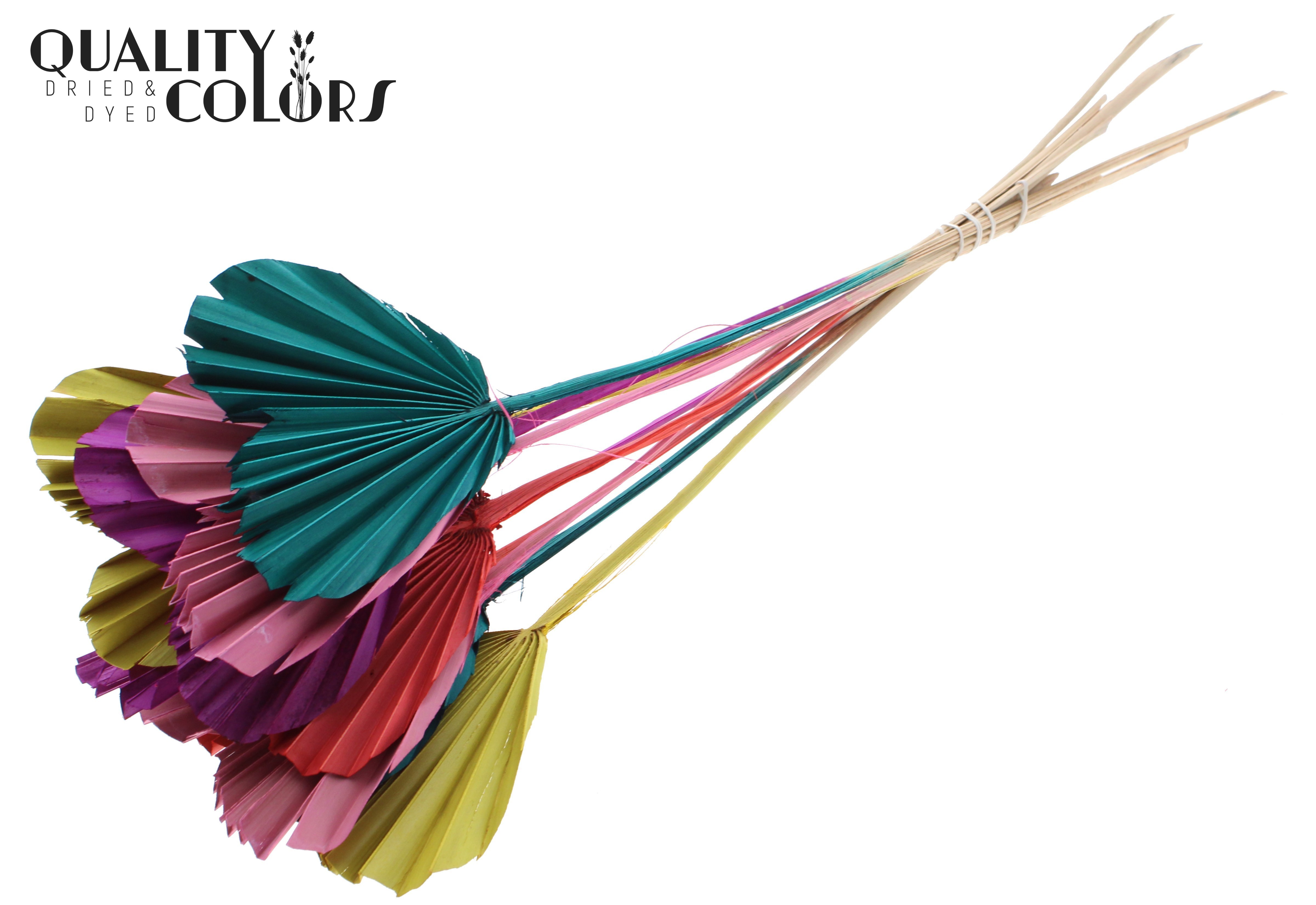 Palm Spear Heart Mix 45cm
