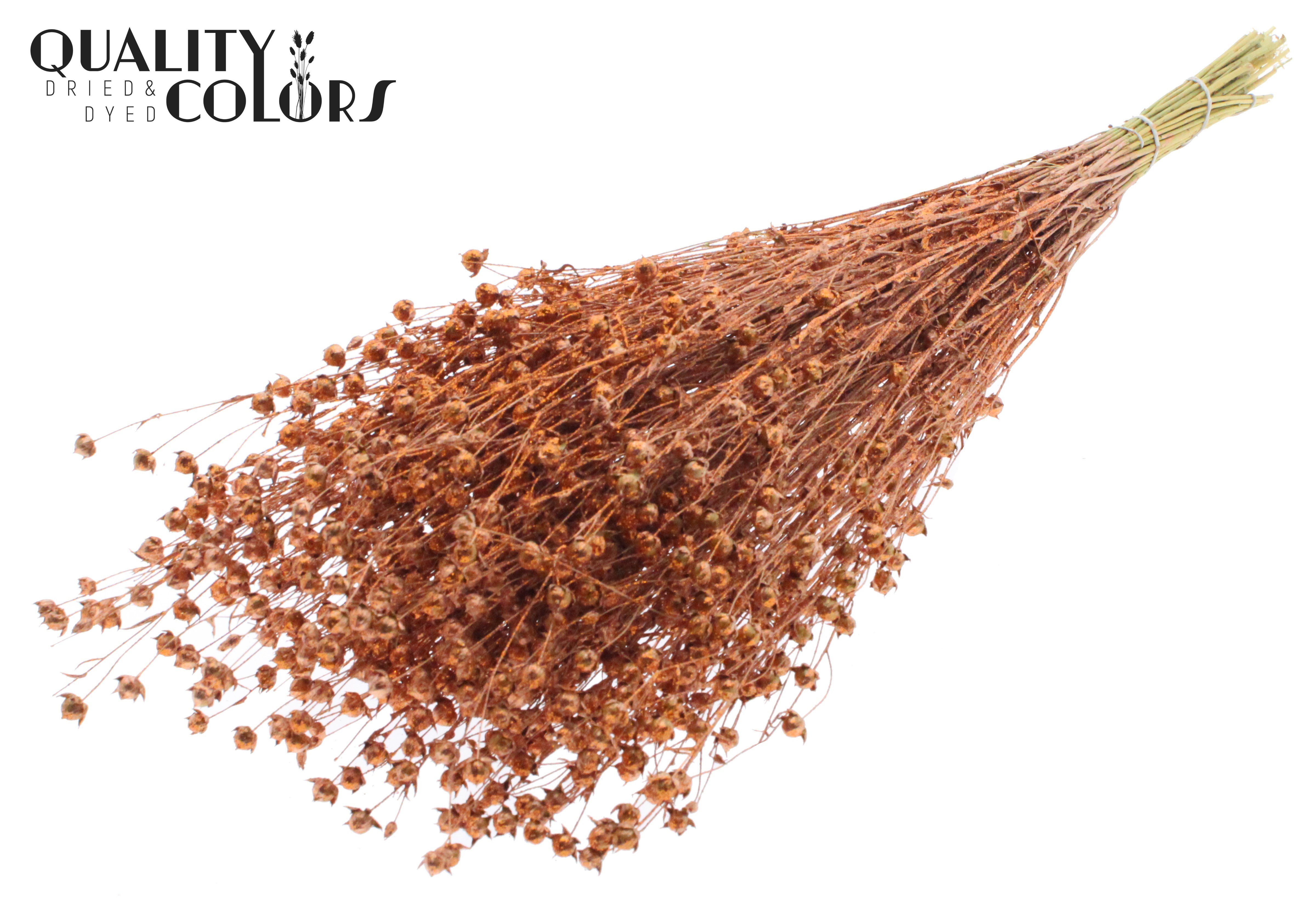 Lino Flax Copper + Glitter Per Bunch 50cm