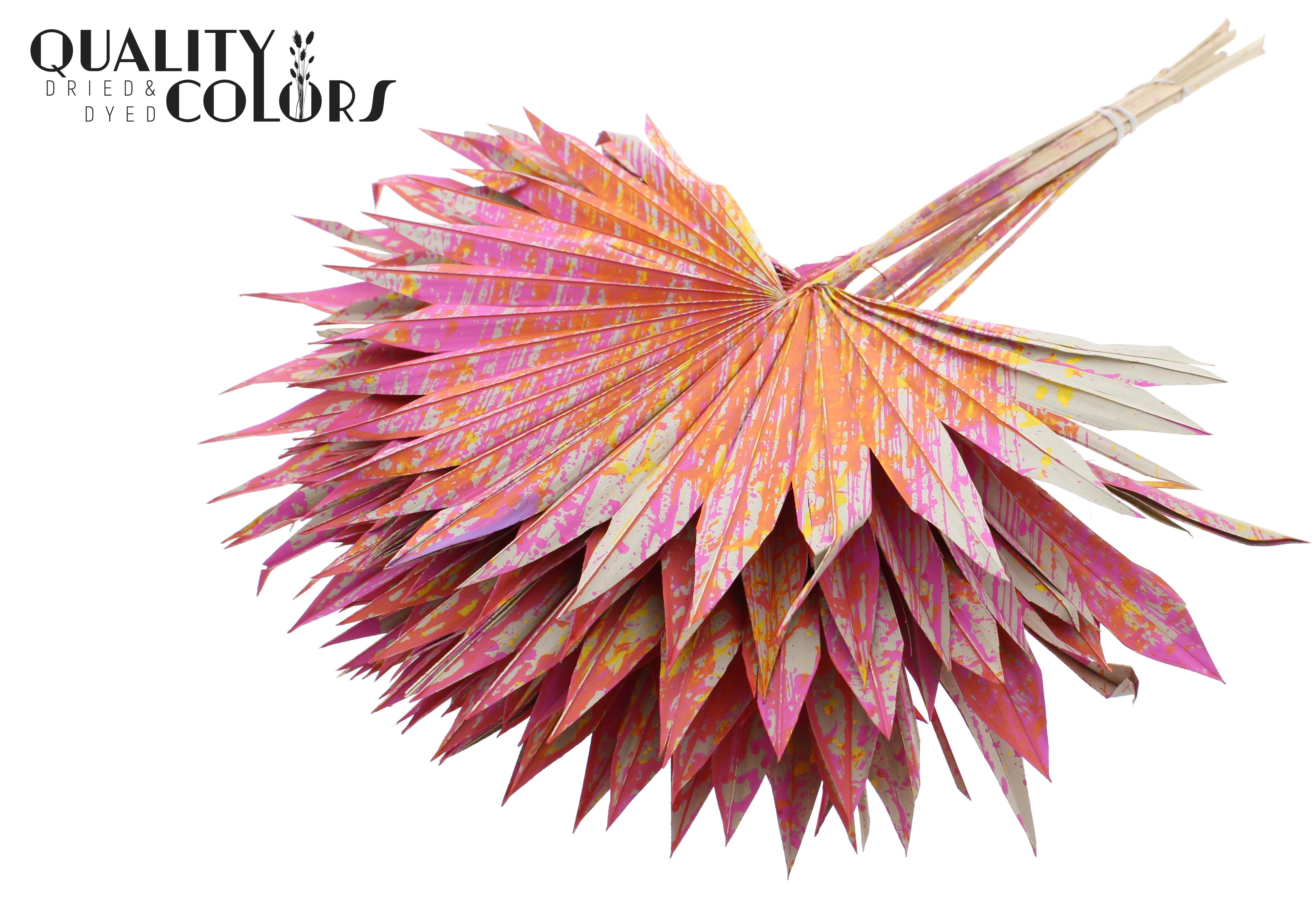 Palm Sun Multicolour Cerise 50cm