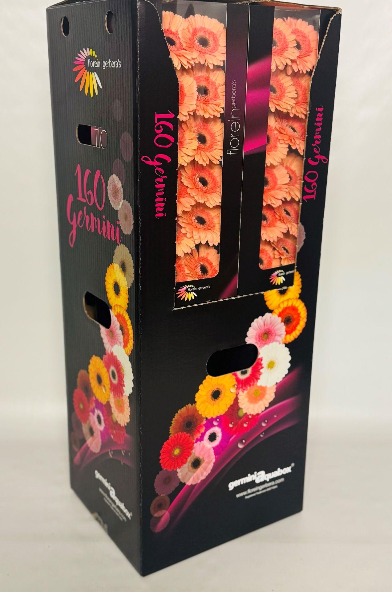 Ge Mi Oreo Aquabox *160