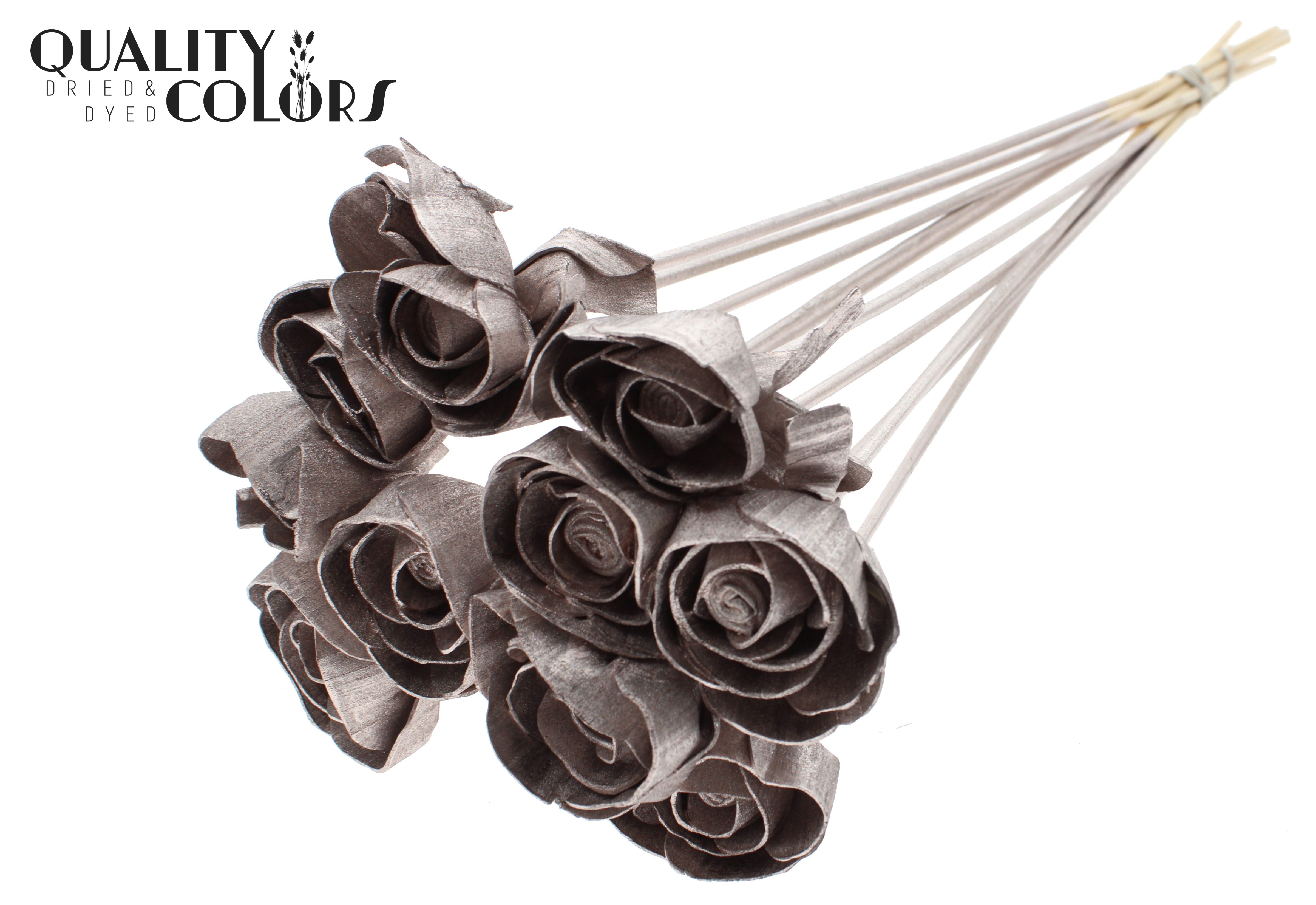 Shola Dear Holly Champagne 50cm