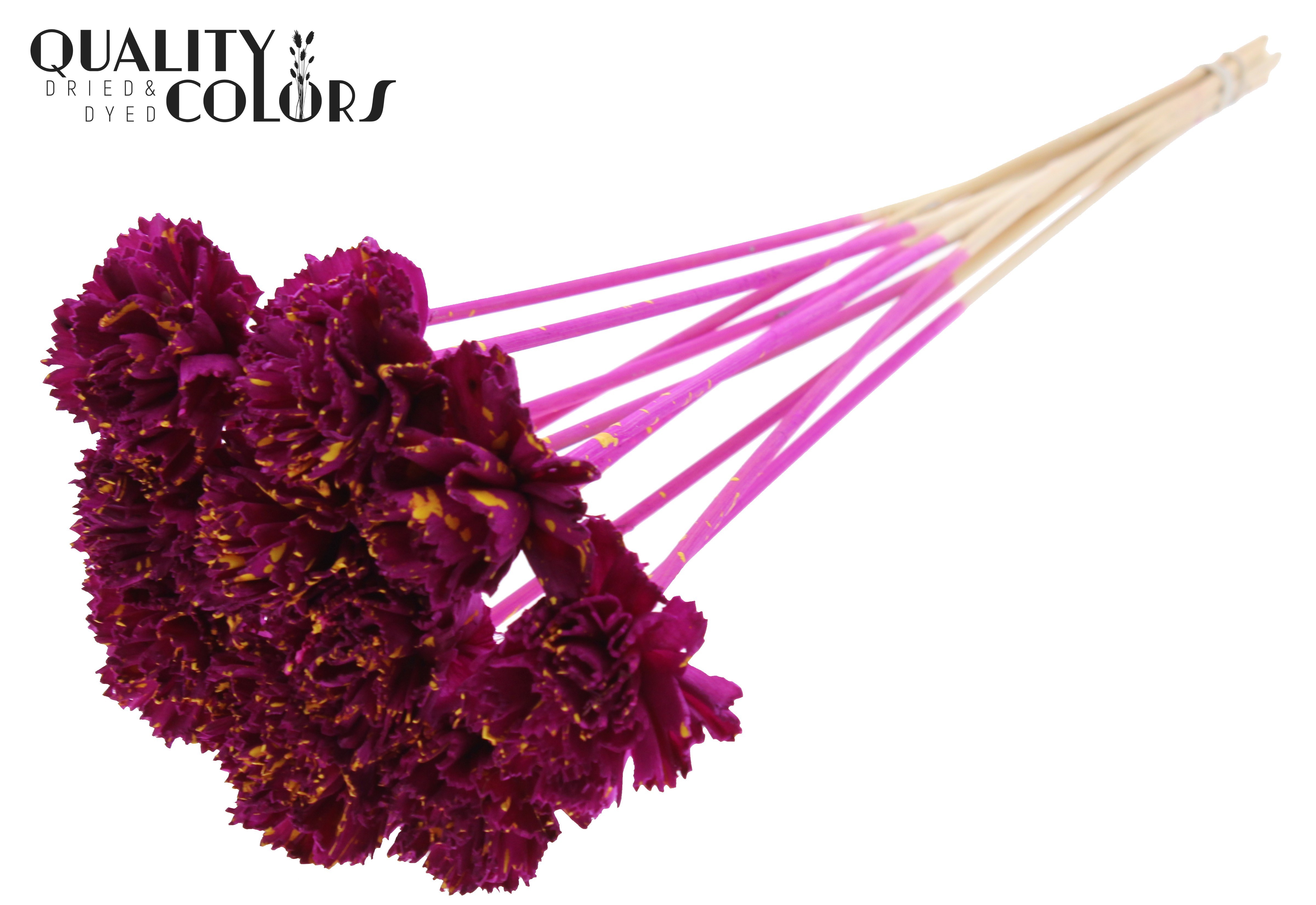 Shola Karnish Flower Splashed Lilac Yellow 50cm