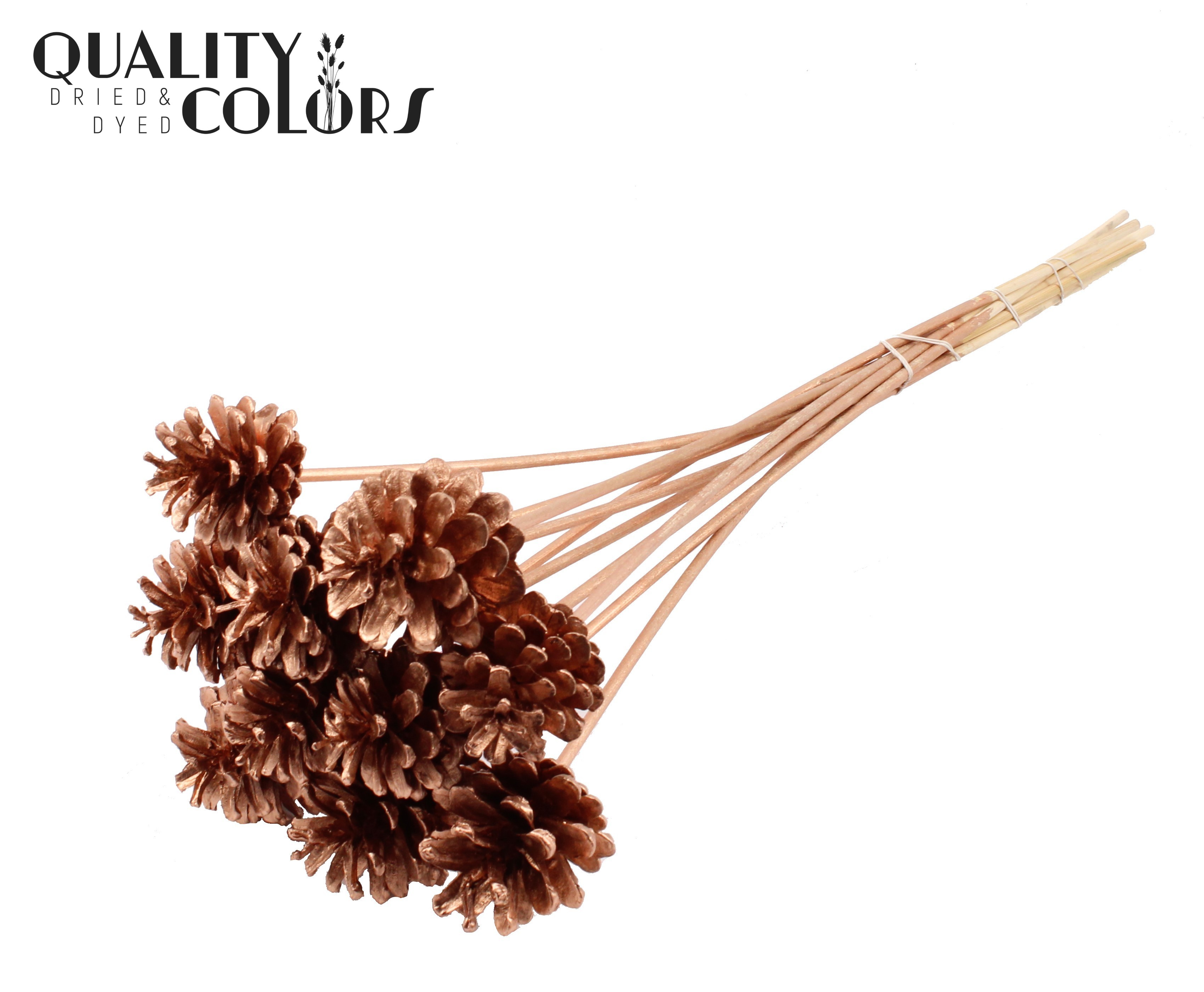 Pine Cone Copper 50cm