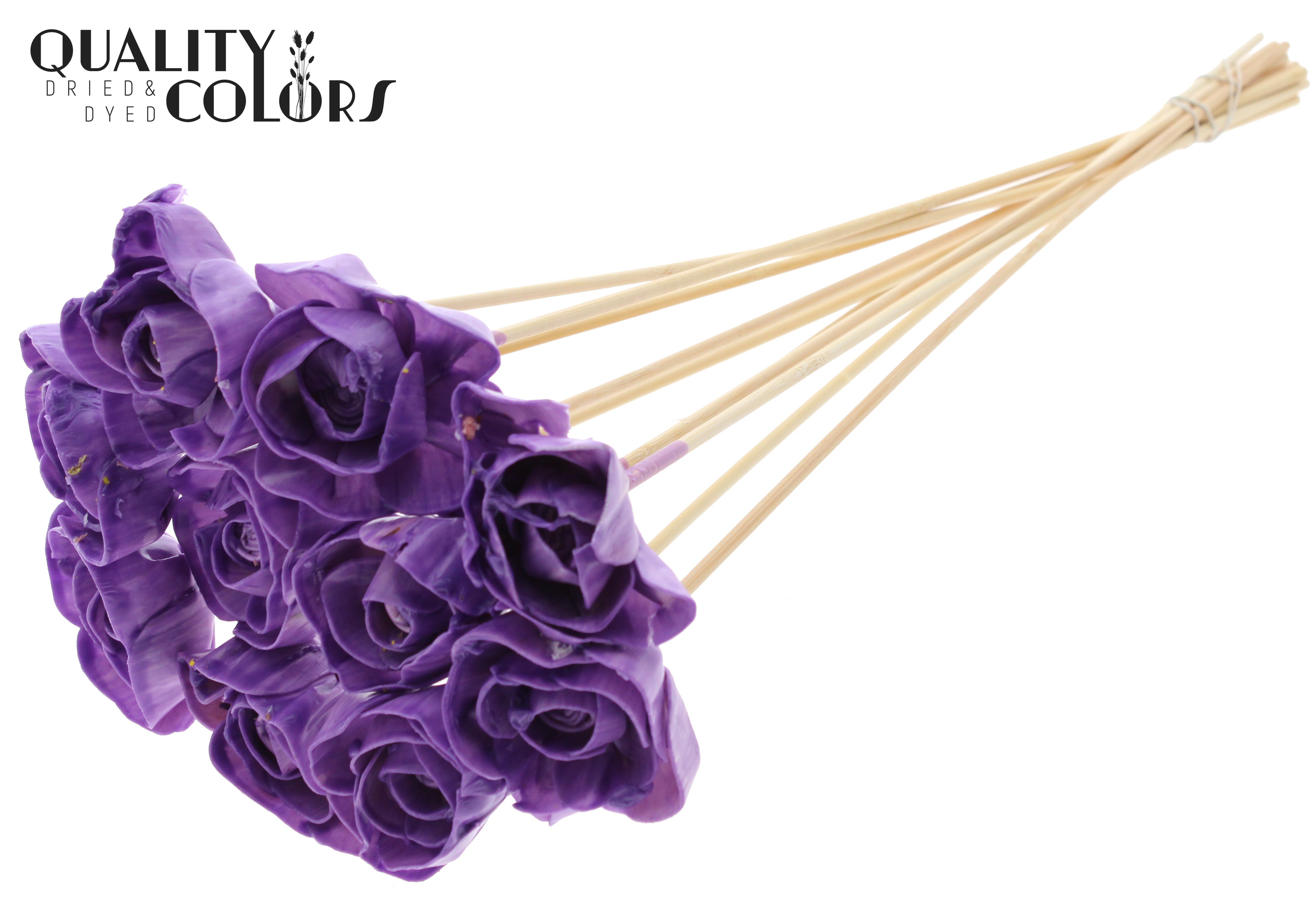 Shola Dear Holly Wax Milka 50cm