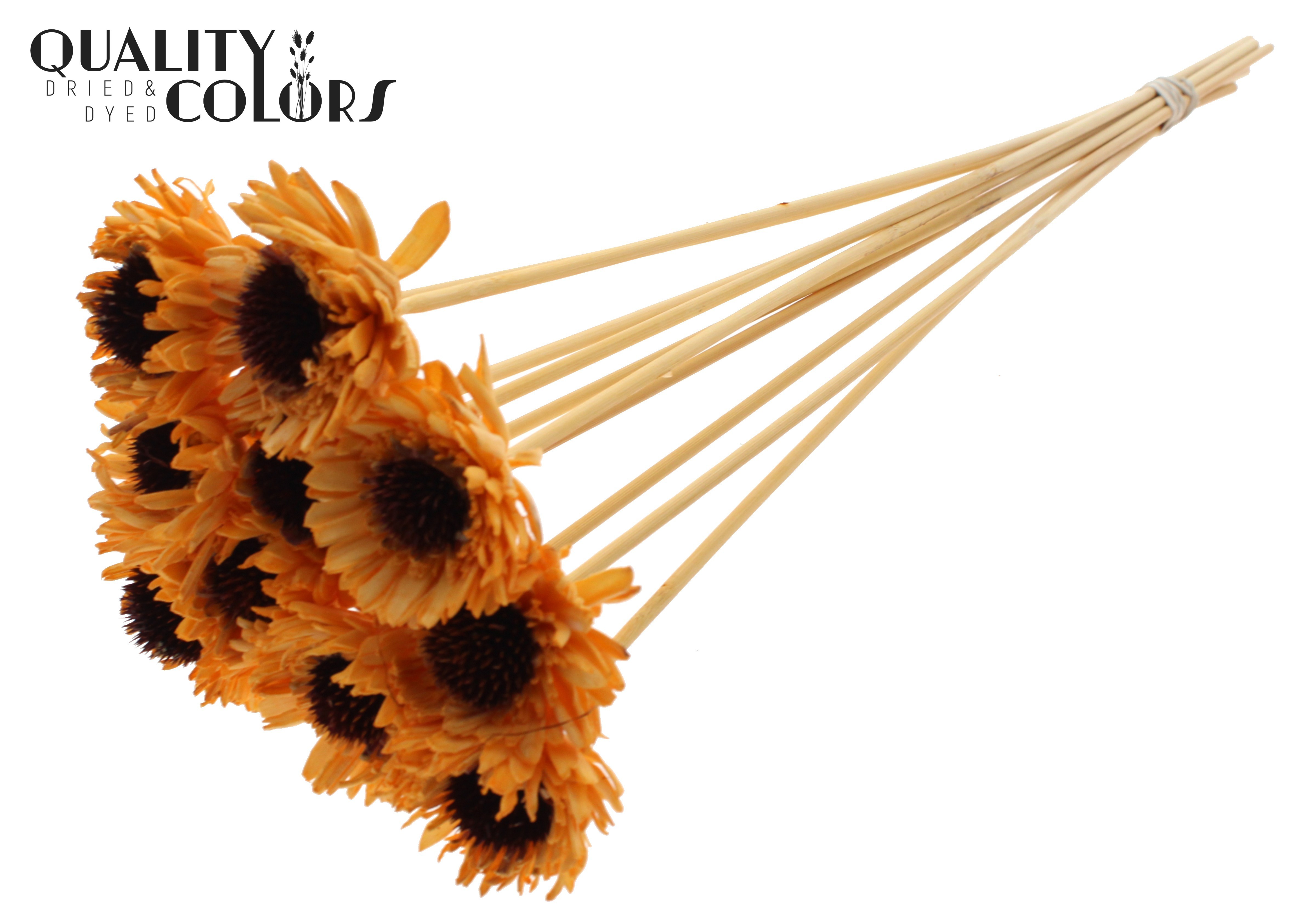 Shola Daisy Sunflower Orange 50cm