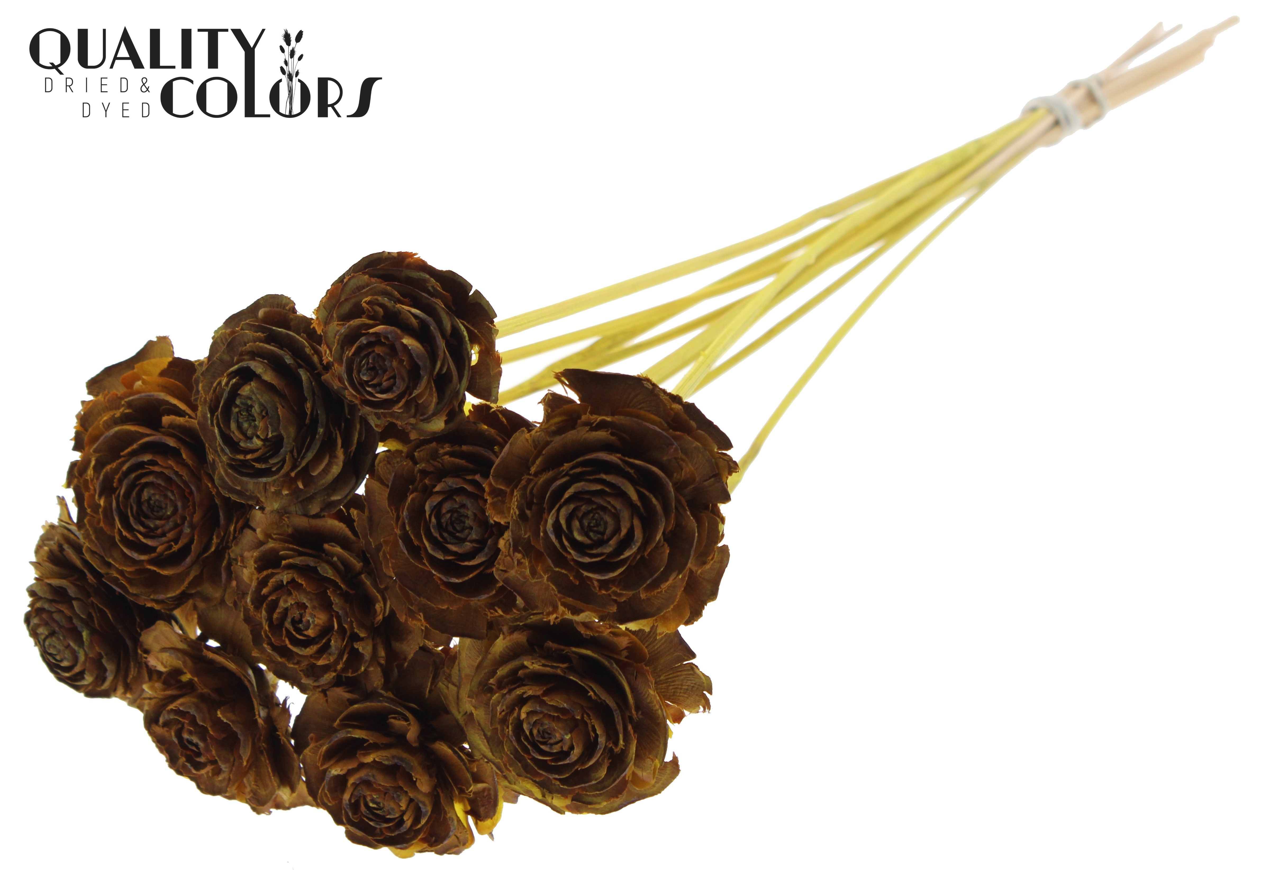 Cedar Rose Yellow 50cm