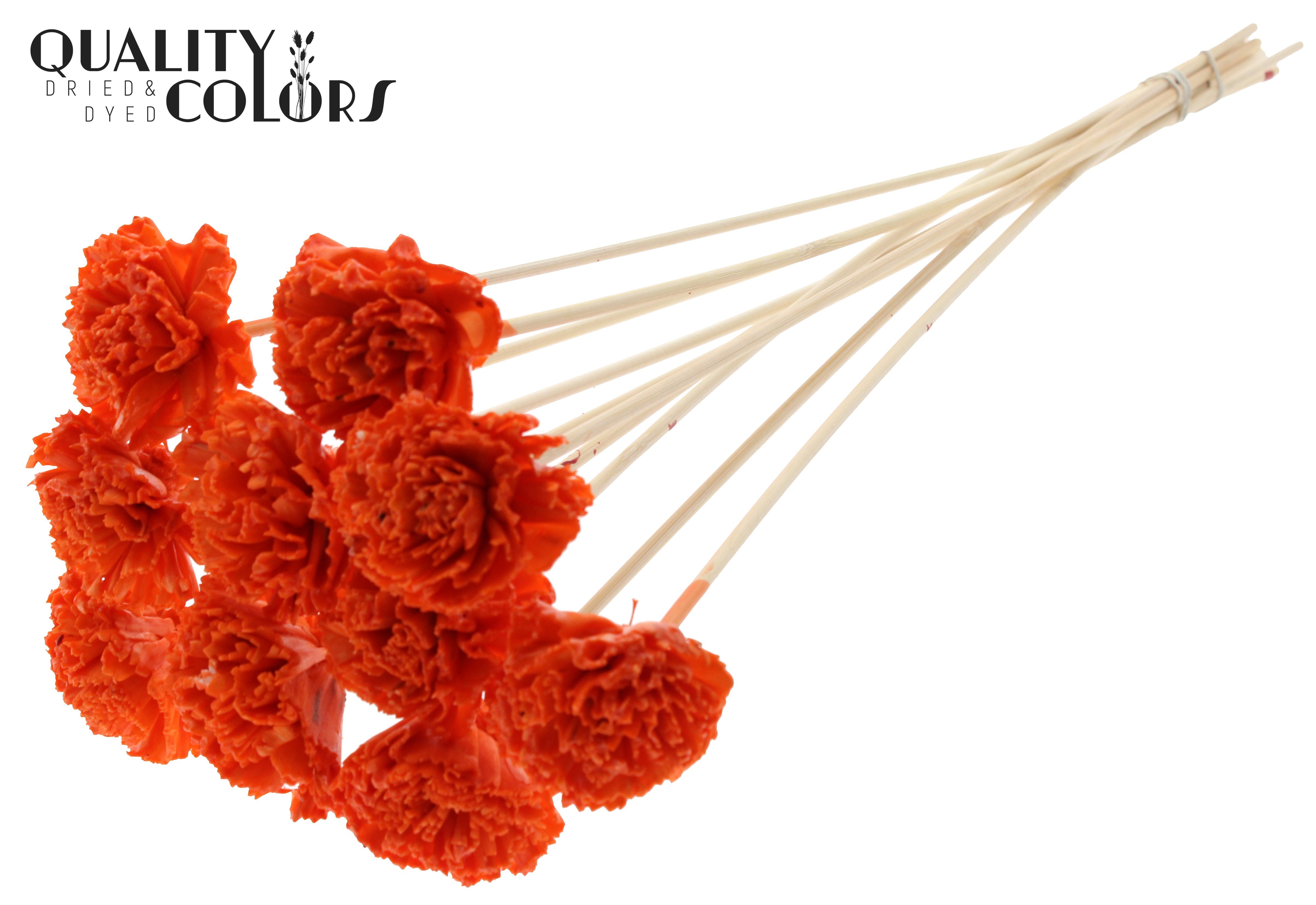 Shola Karnish Flower Wax Orange 50cm