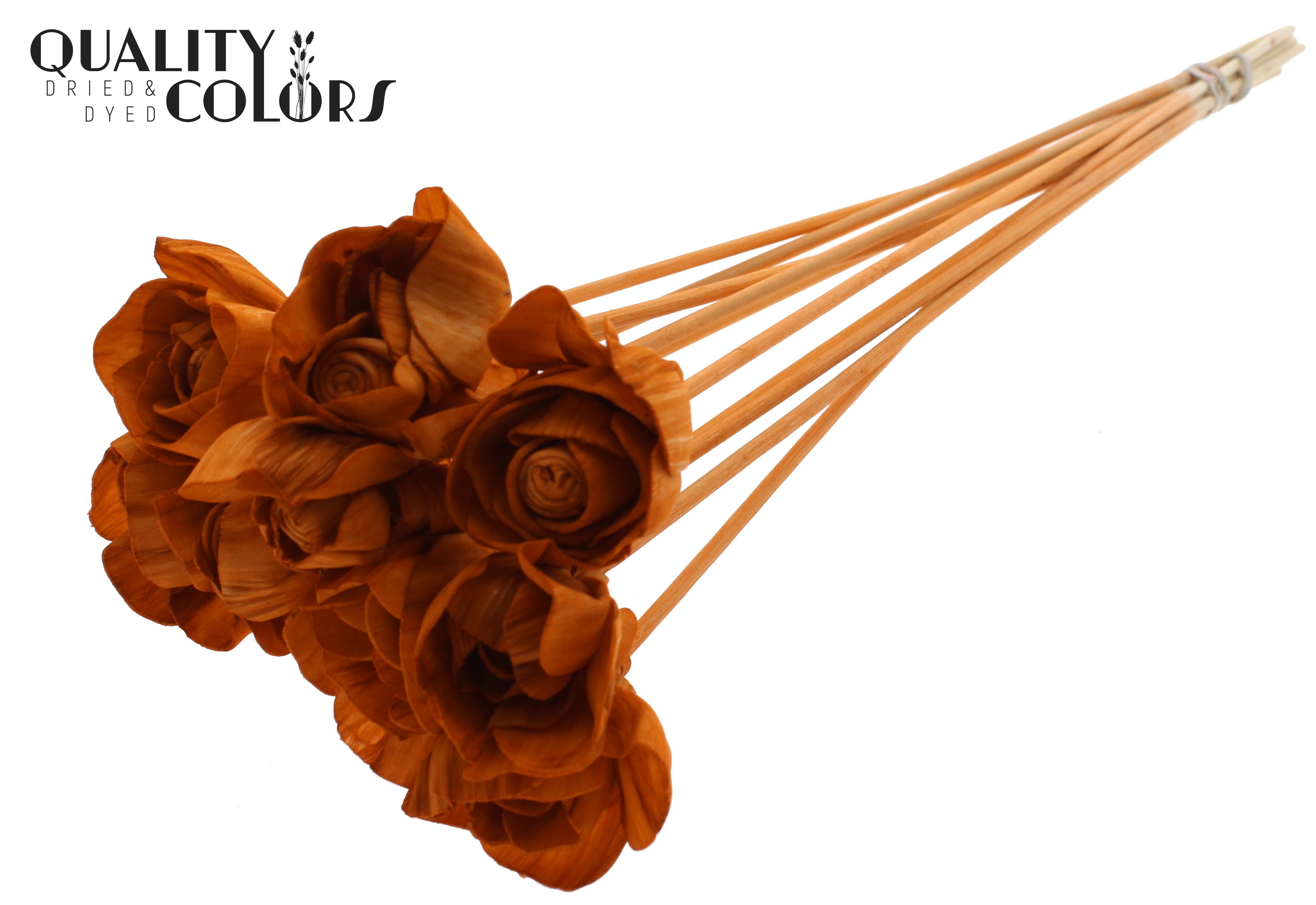 Shola Dear Holly Terracotta 50cm
