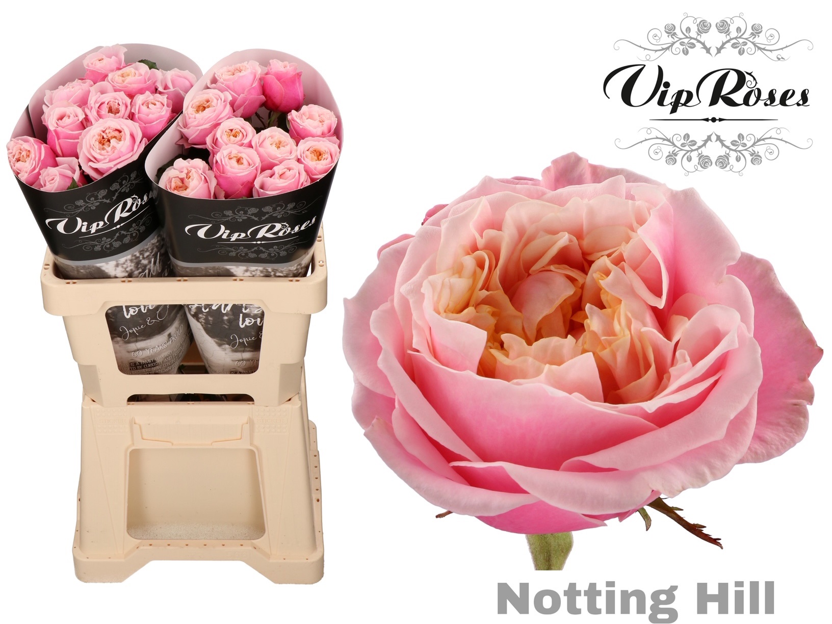 R Gr Notting Hill 60 cm