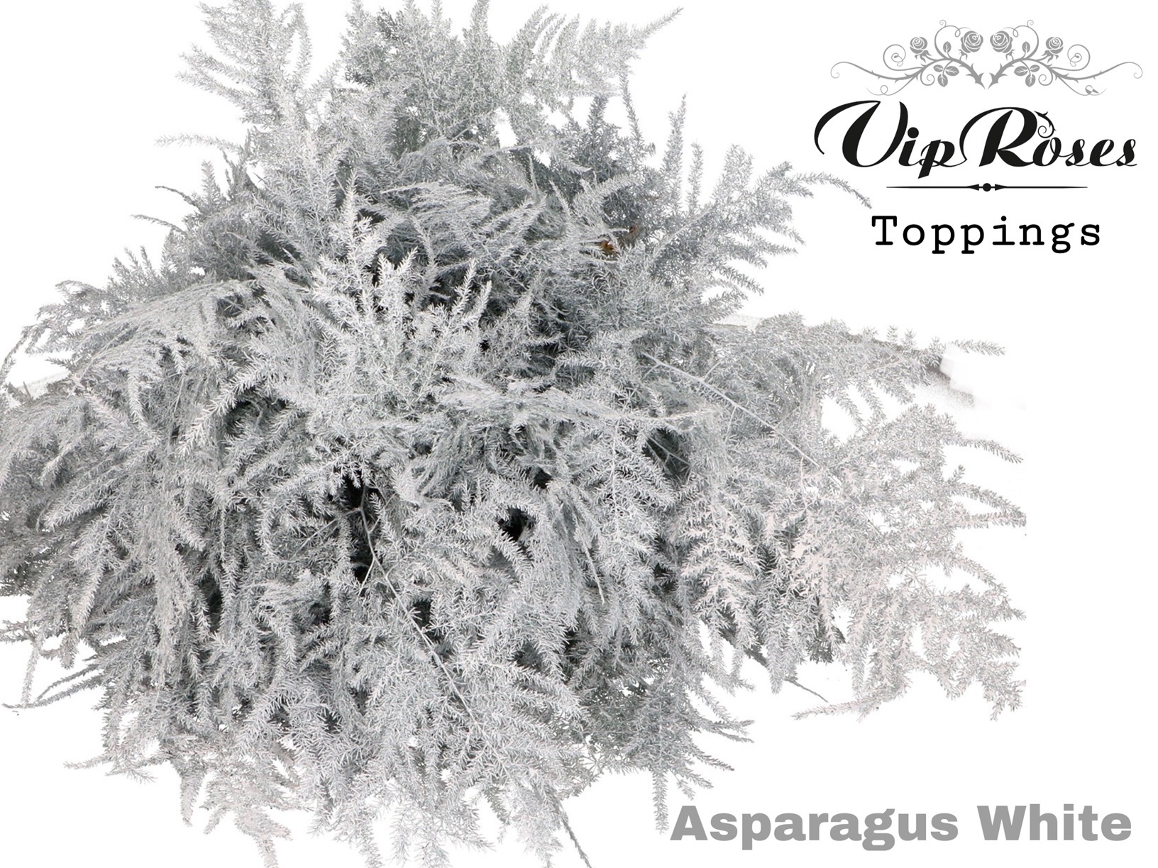 Asparágus (špeciál)