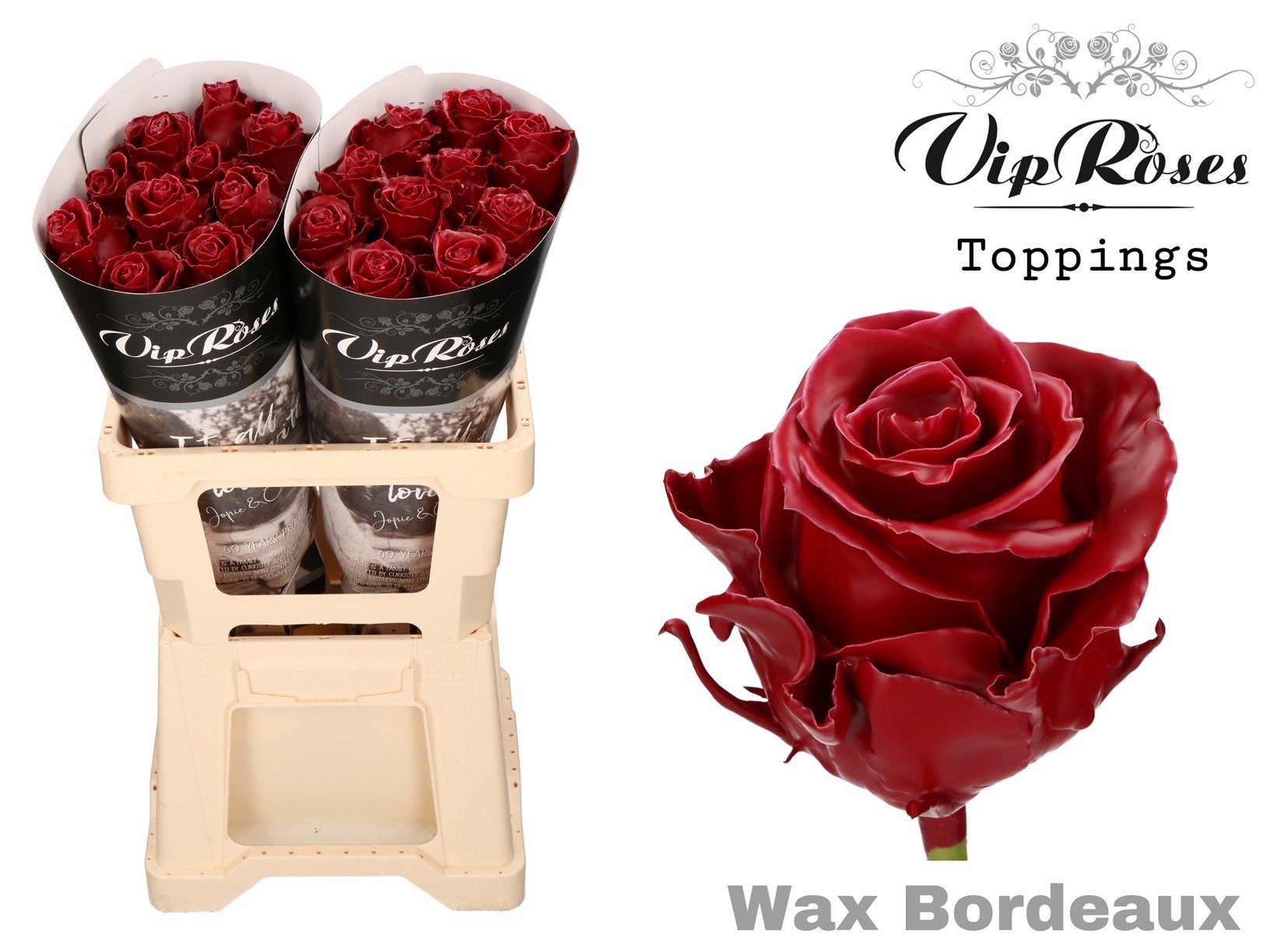 Rosa Waxed Vip Bordeaux 70cm