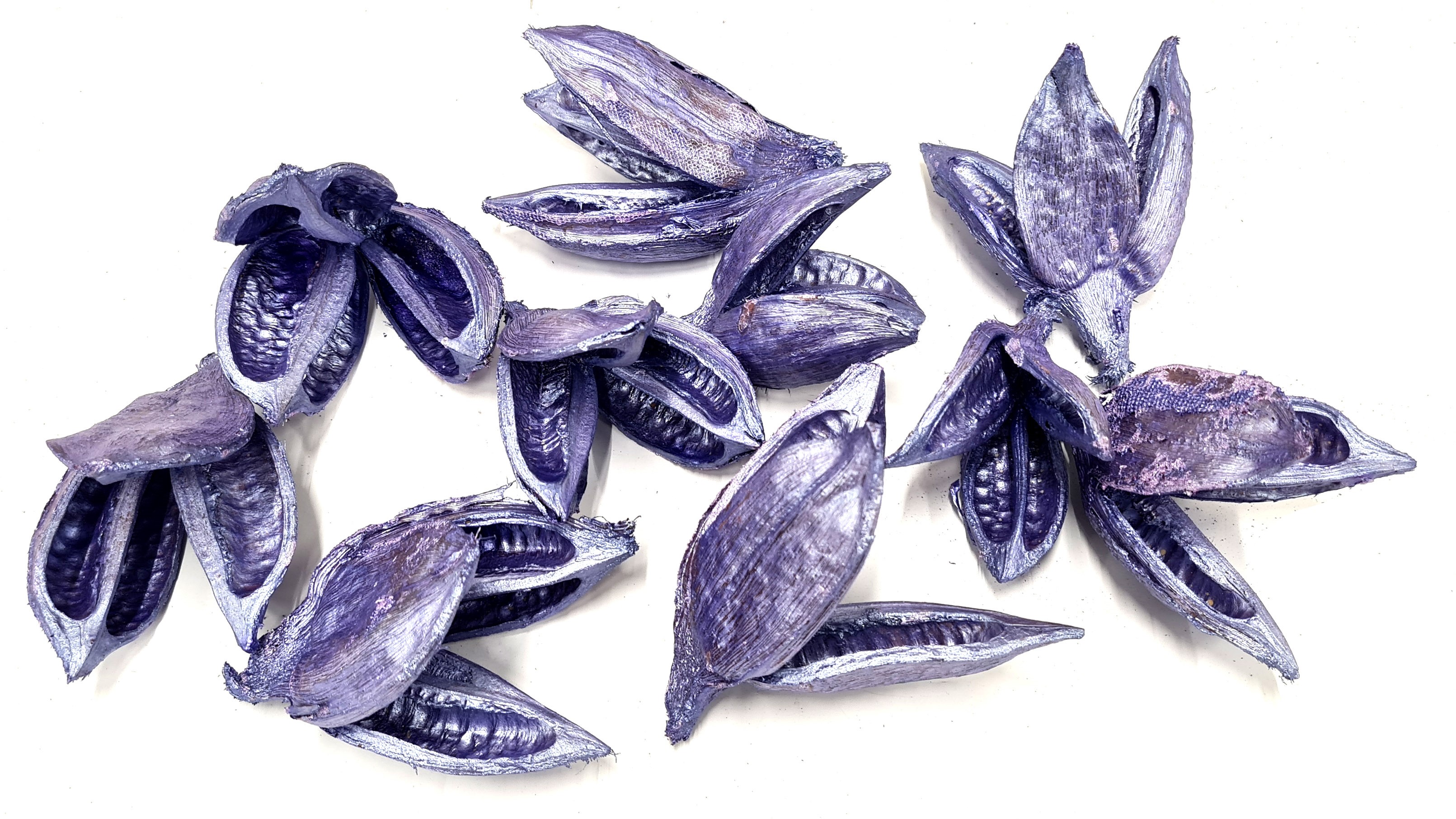 Sororoca Penca Painted Pearl Purple