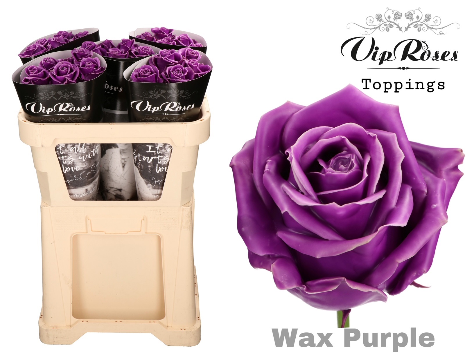 Rosa Waxed 70cm