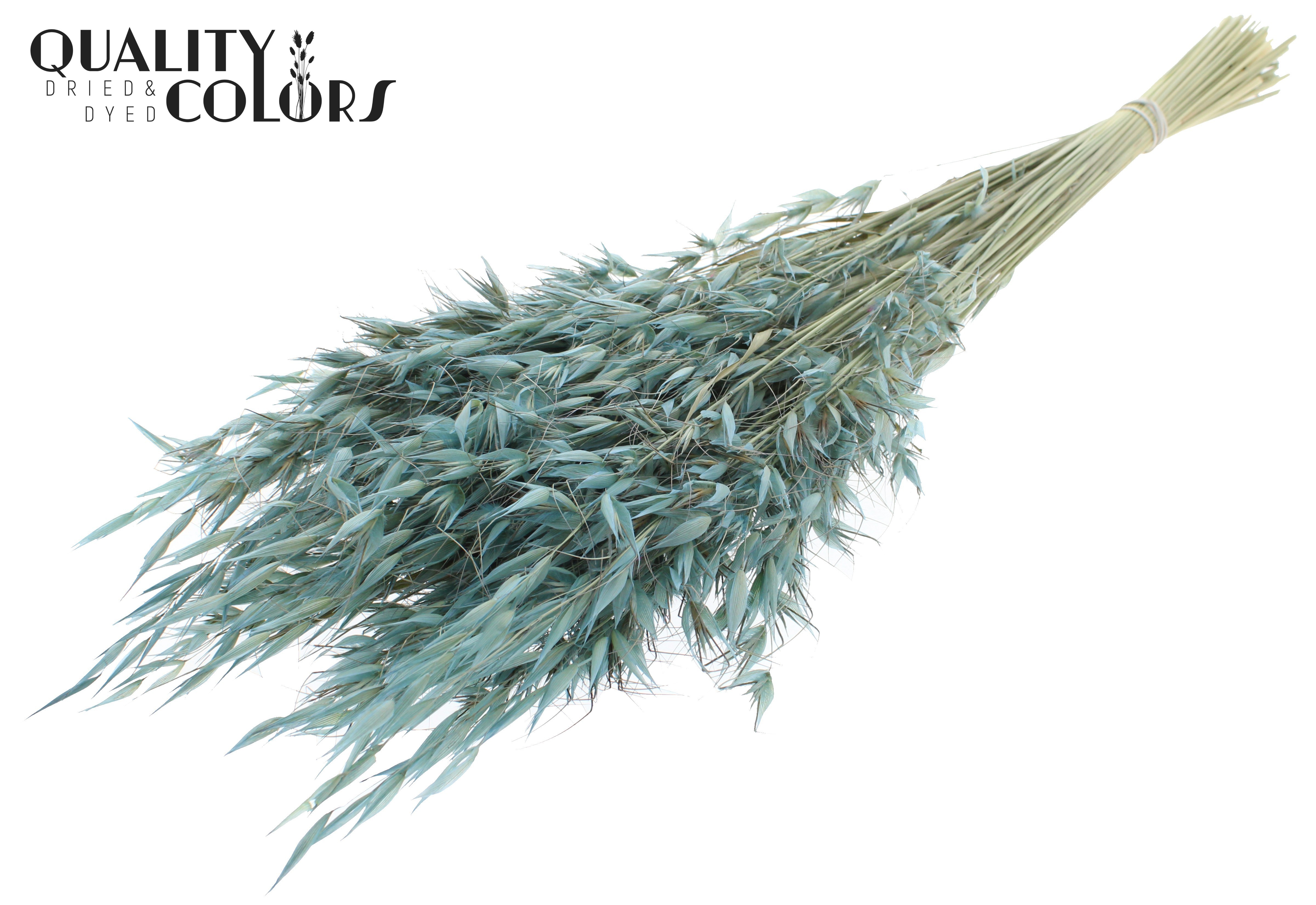 Avena Frosted Light Blue Per Bunch 70cm
