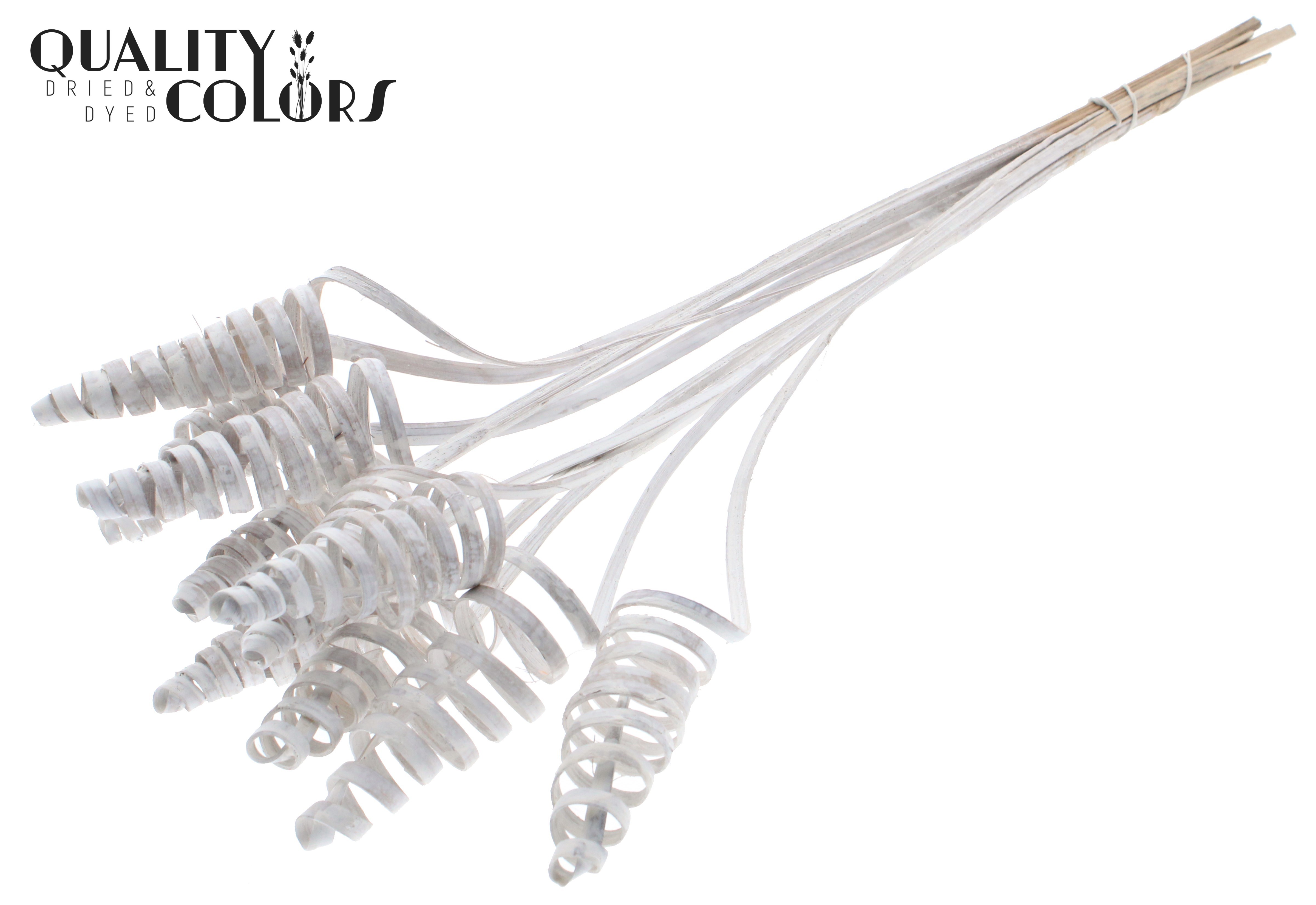 Cane Cone White 50cm