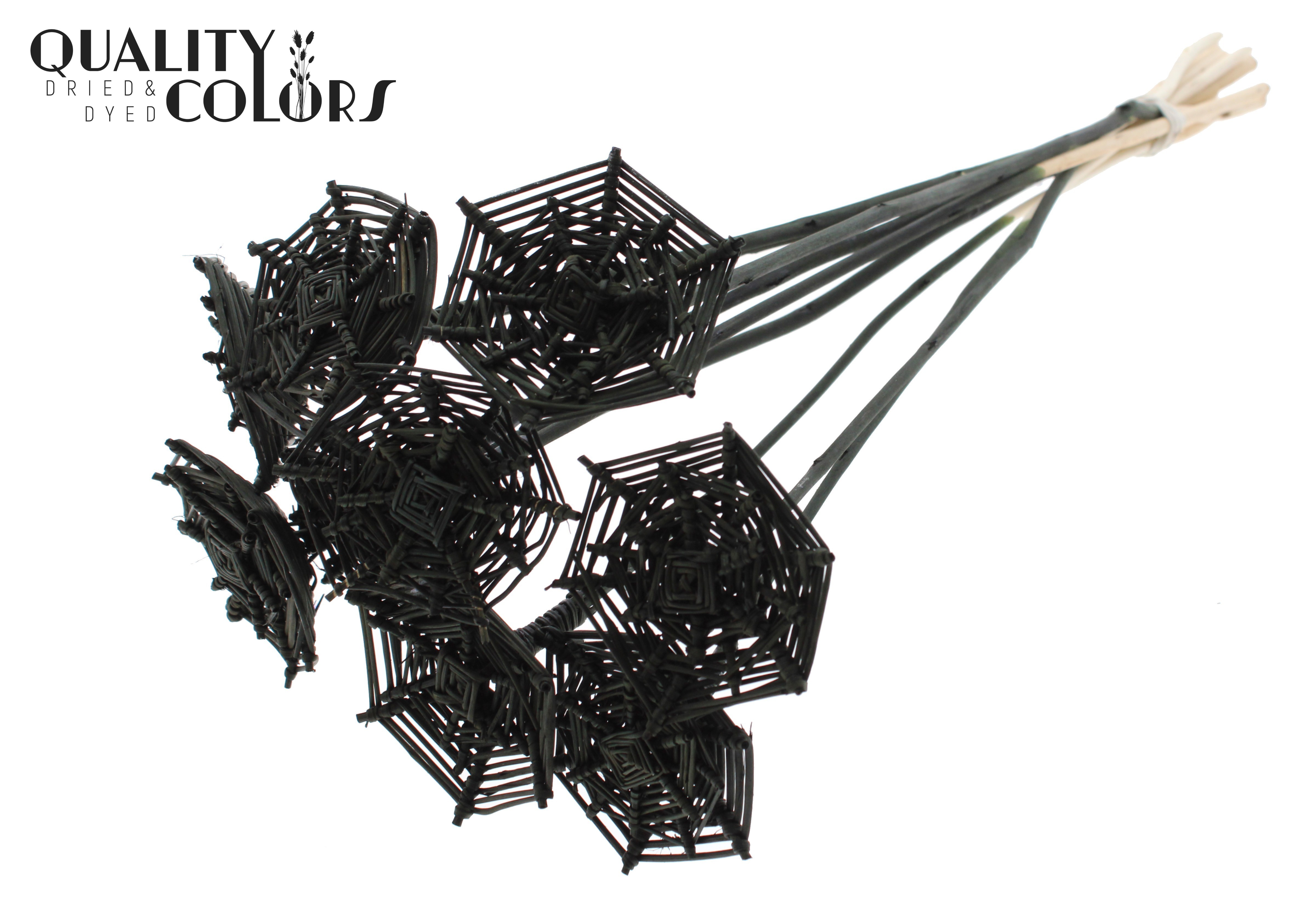 Lata Spiderweb Black 50cm