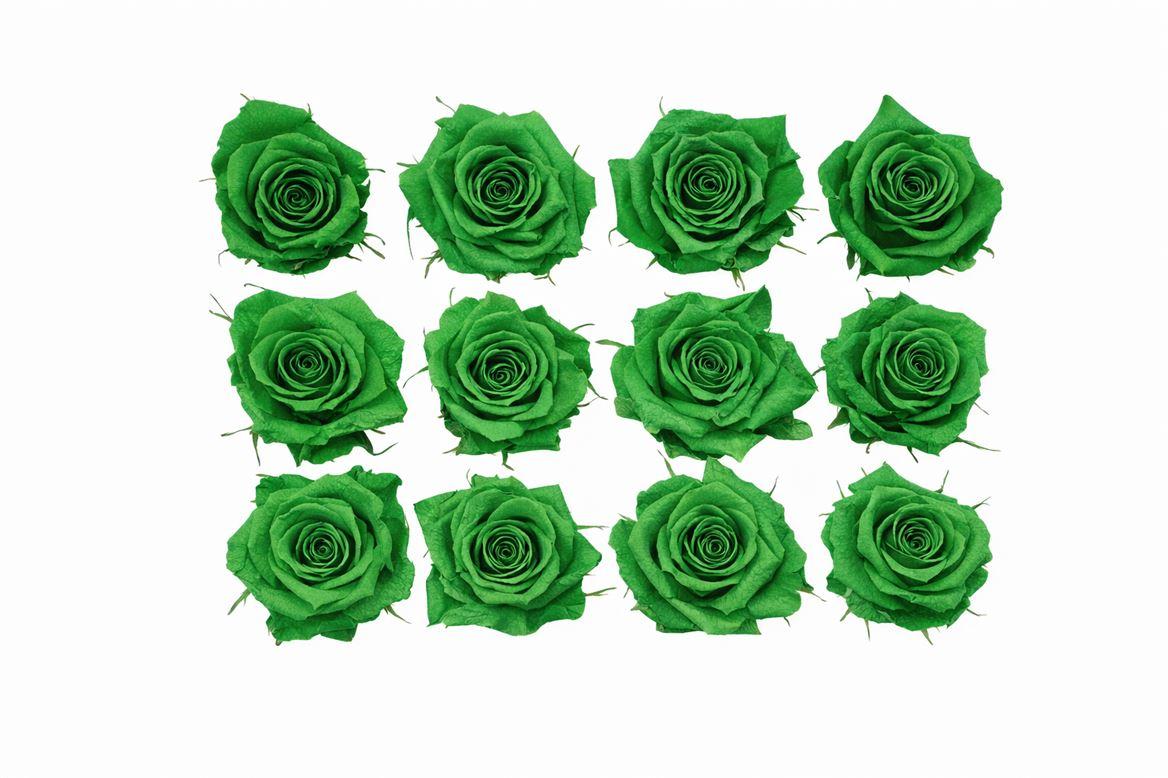 Ro Pres Mini Green Dark