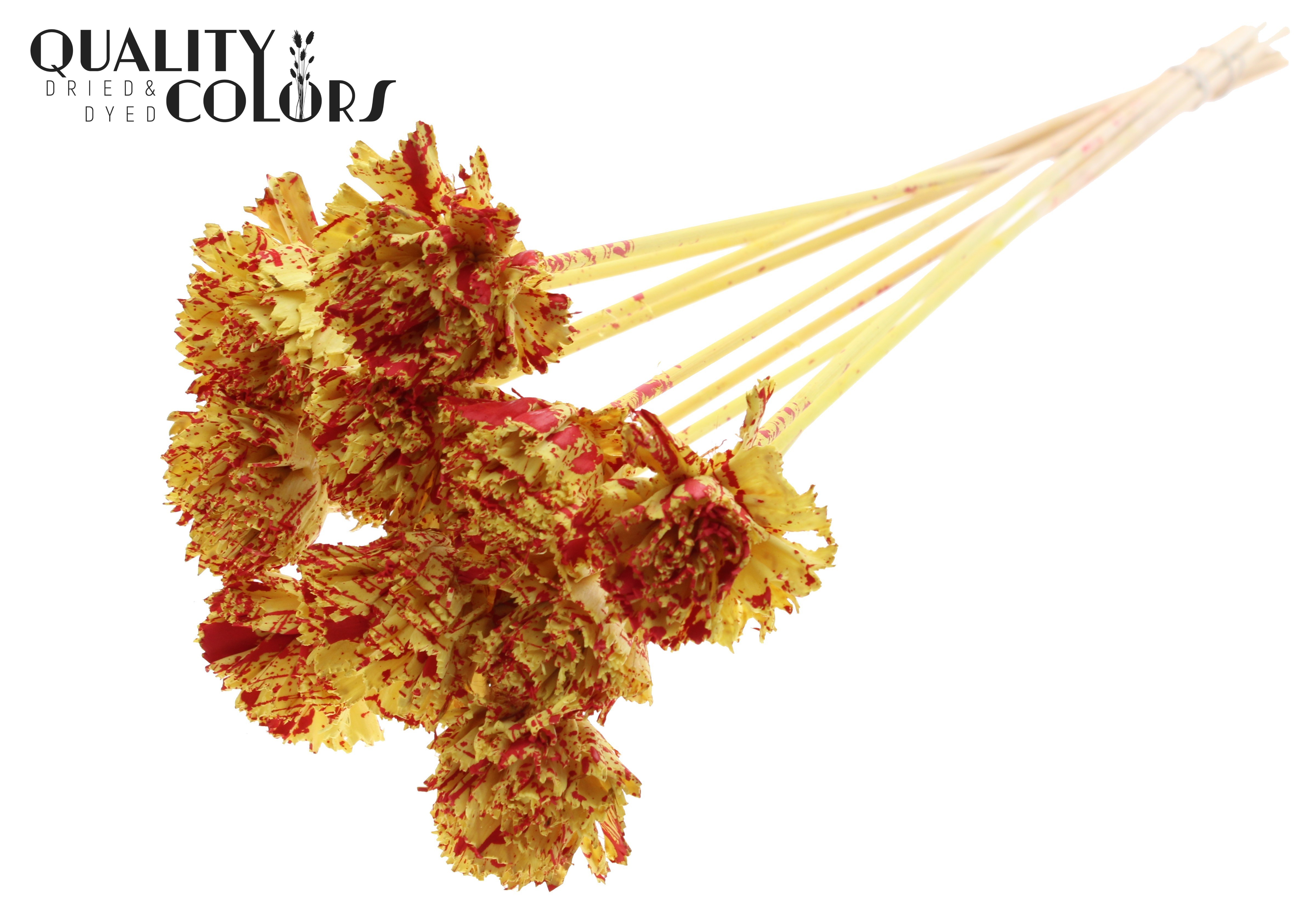 Shola Karnish Flower Splashed Red Yellow 50cm