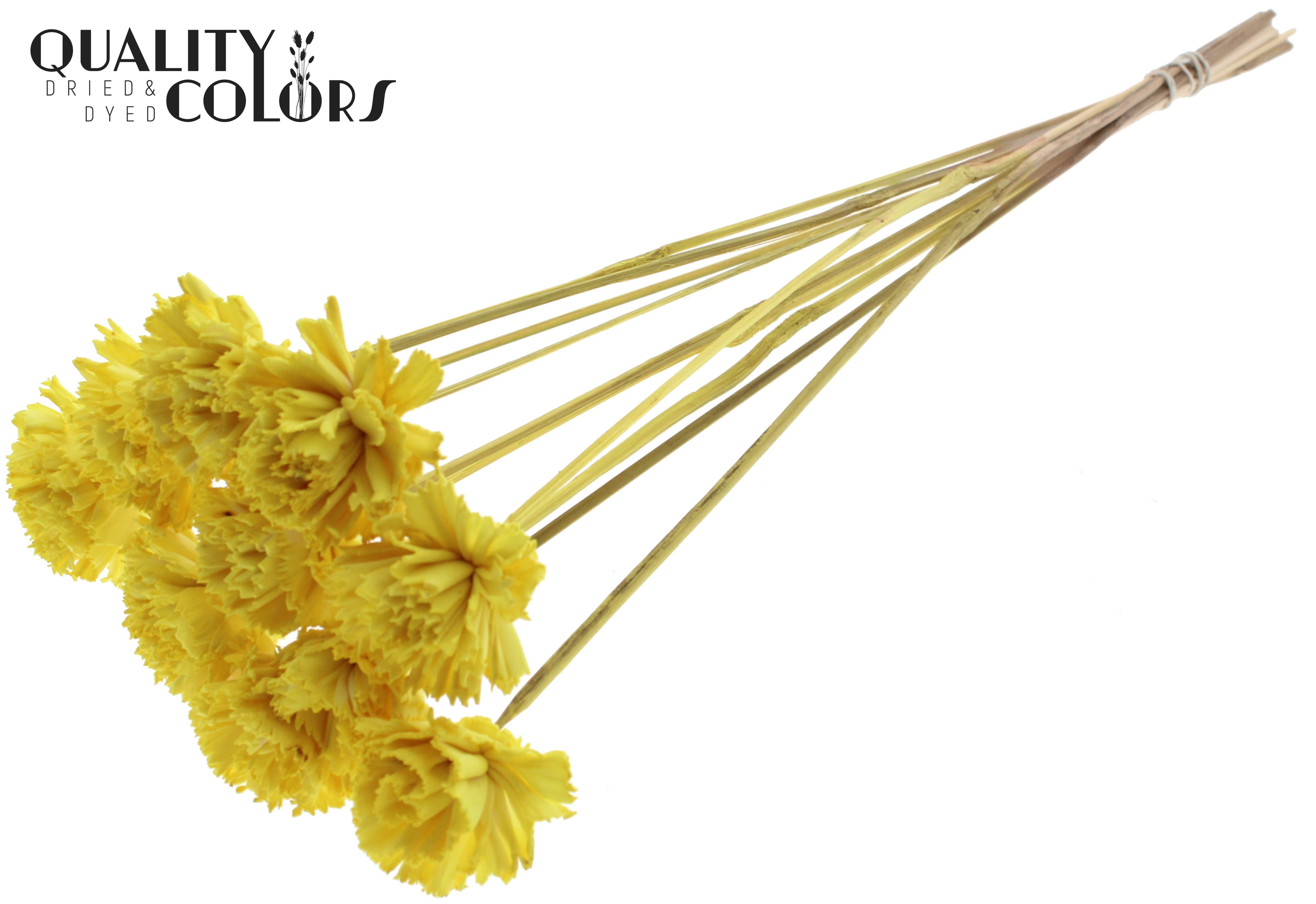 Shola Karnish Flower Yellow 50cm