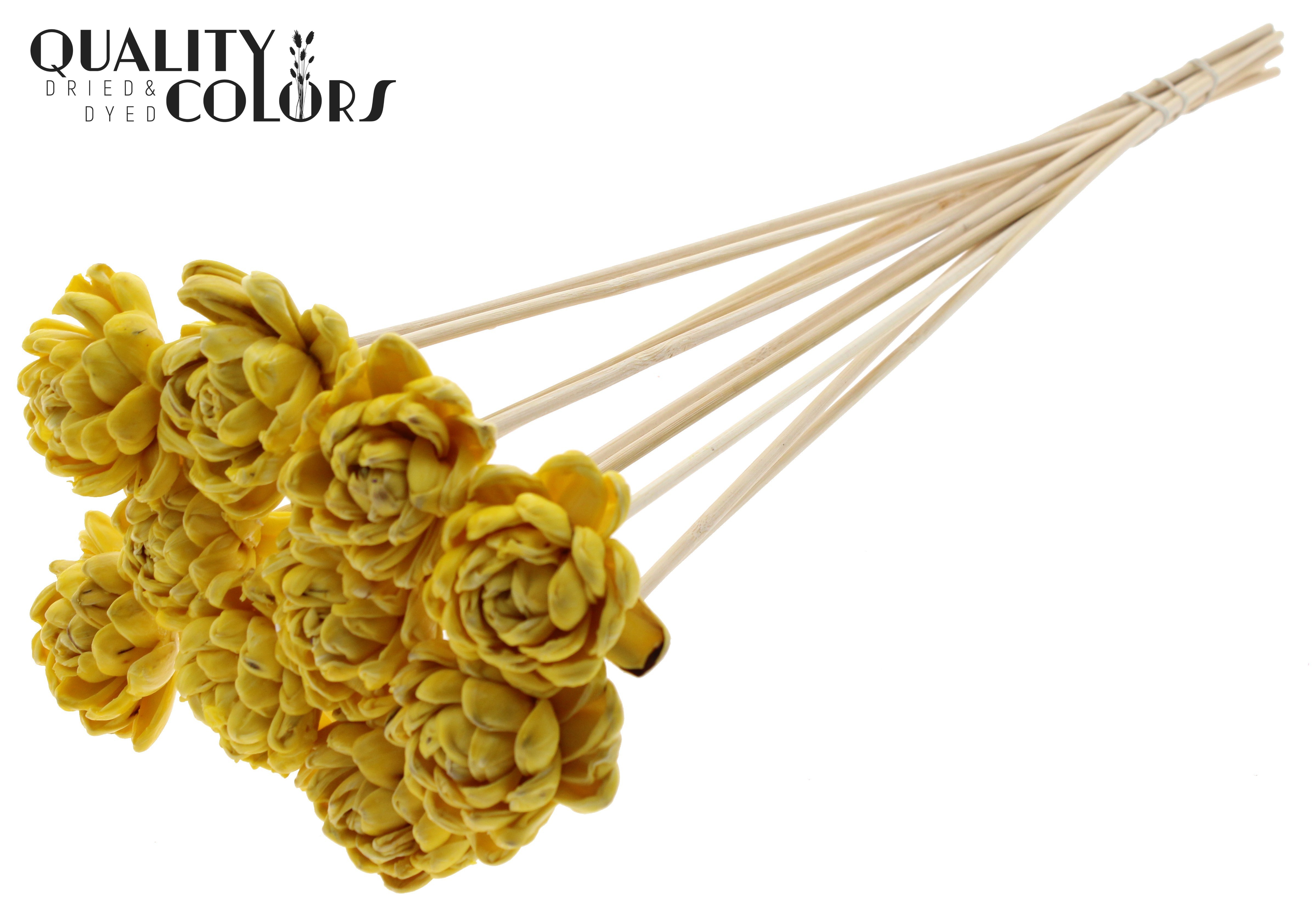 Shola New Beauty Rose Wax Yellow 50cm