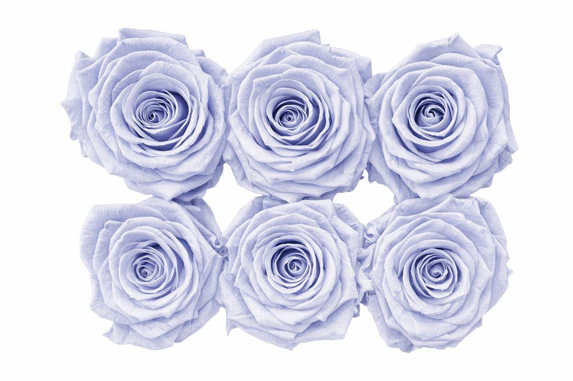 Ro Pres Classic Lavender